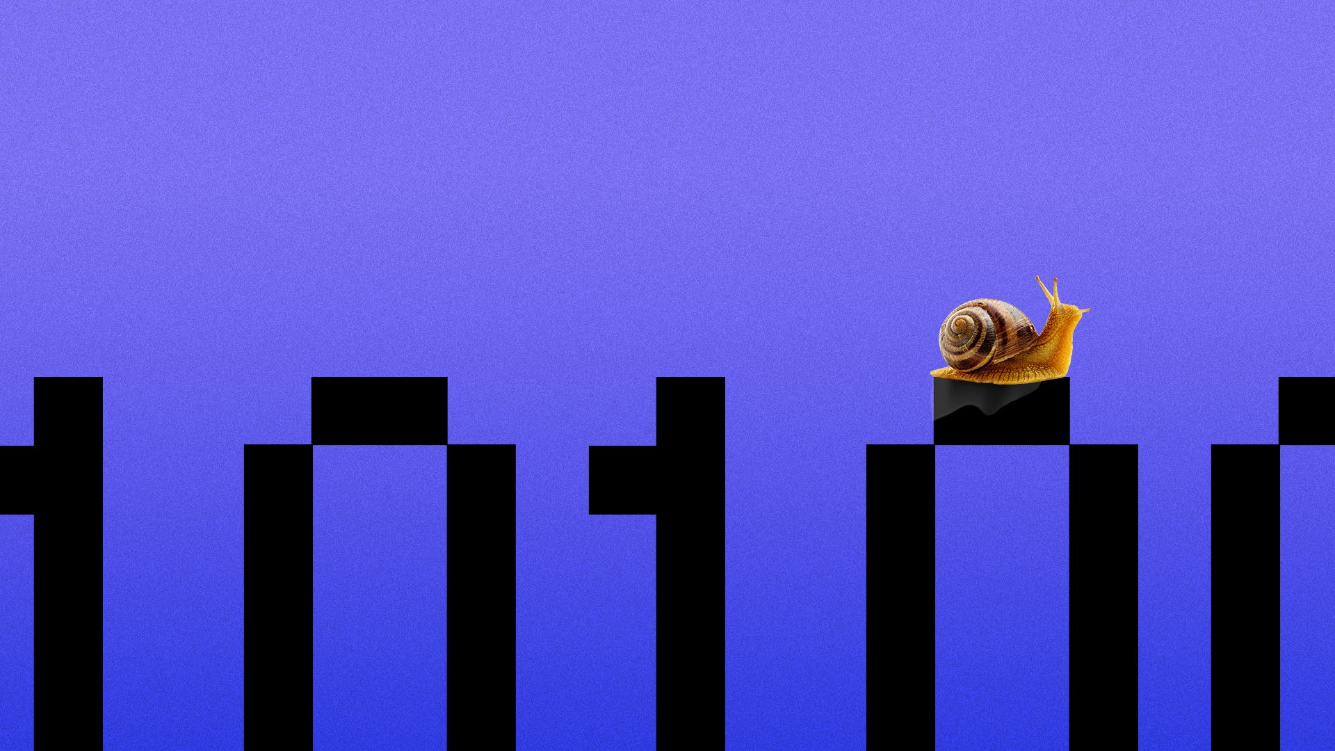 Illustration of a snail on giant binary.