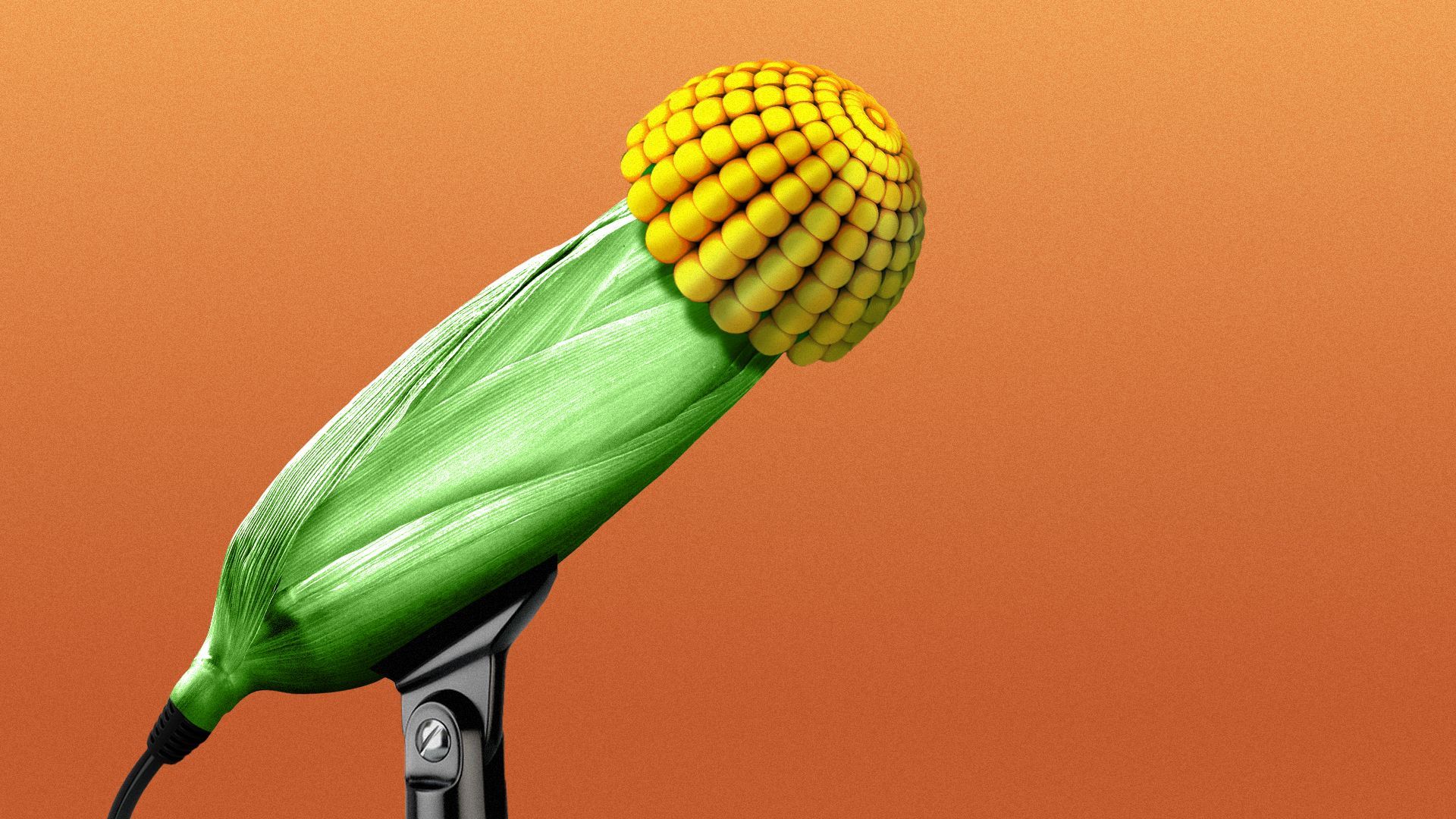 Illustration of a cob of corn in the shape of a microphone.