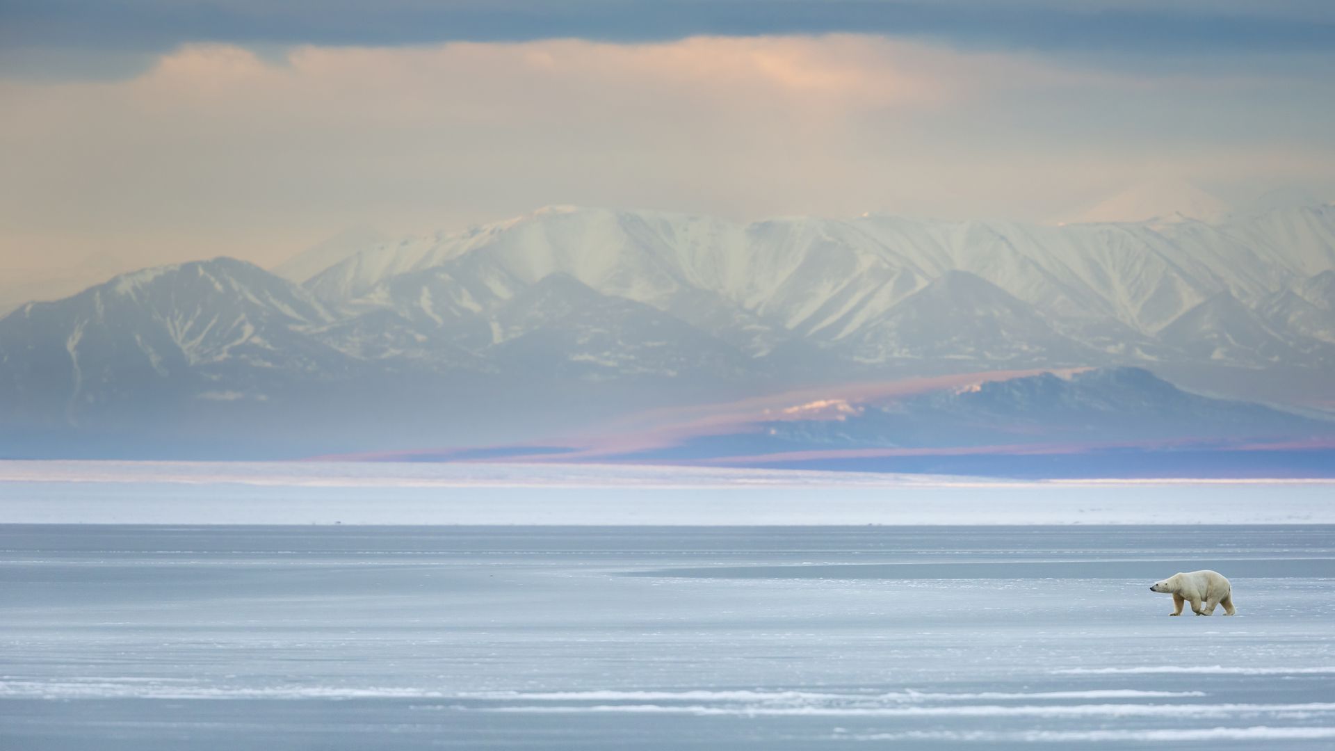 Beaufort Sea in the Arctic National Wildlife Refuge in Alaska. Photo: Patrick Endres/Corbis Documentary via Getty Images