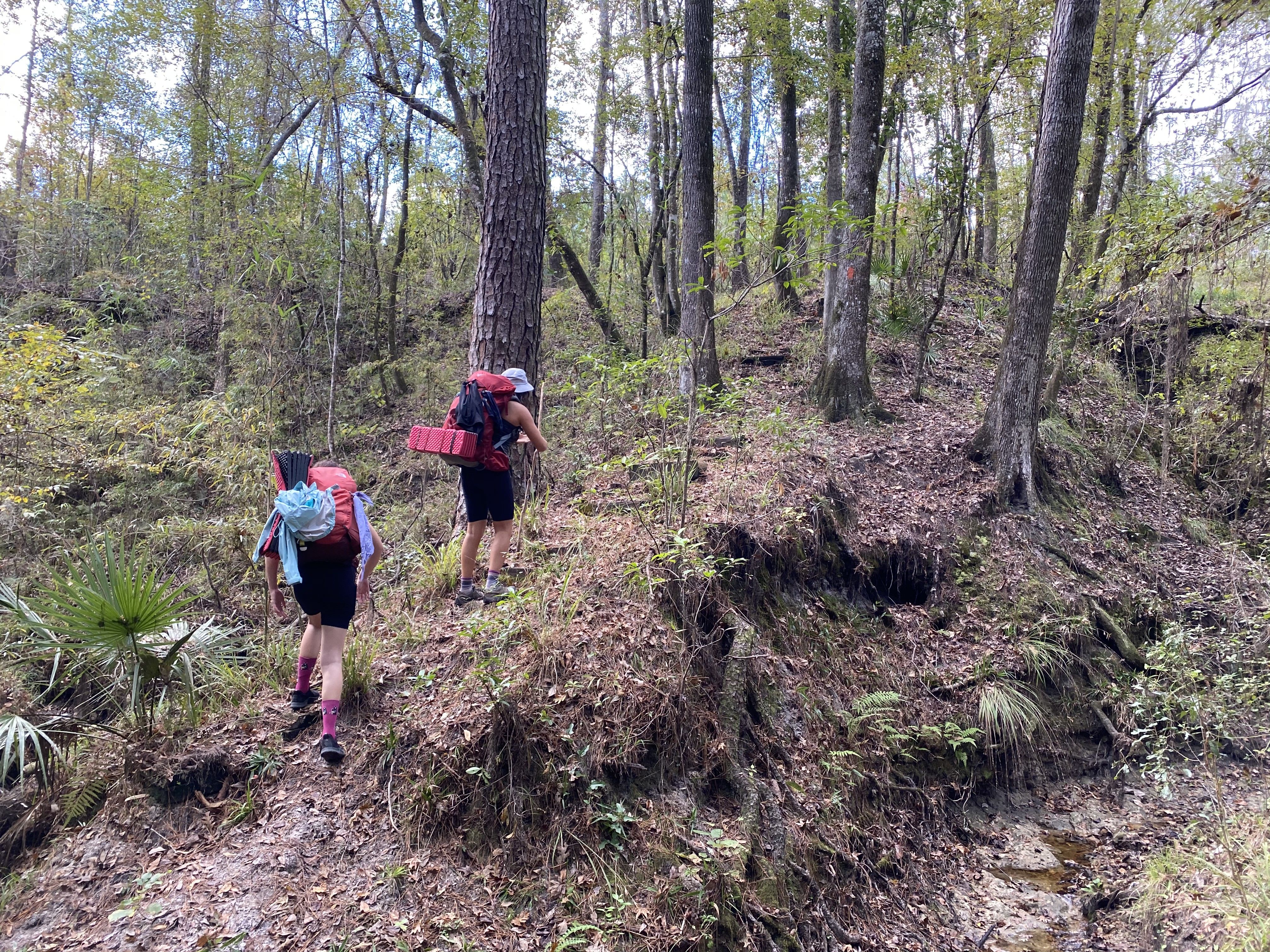 Two girls hike along the Florida trail near the suwannee river