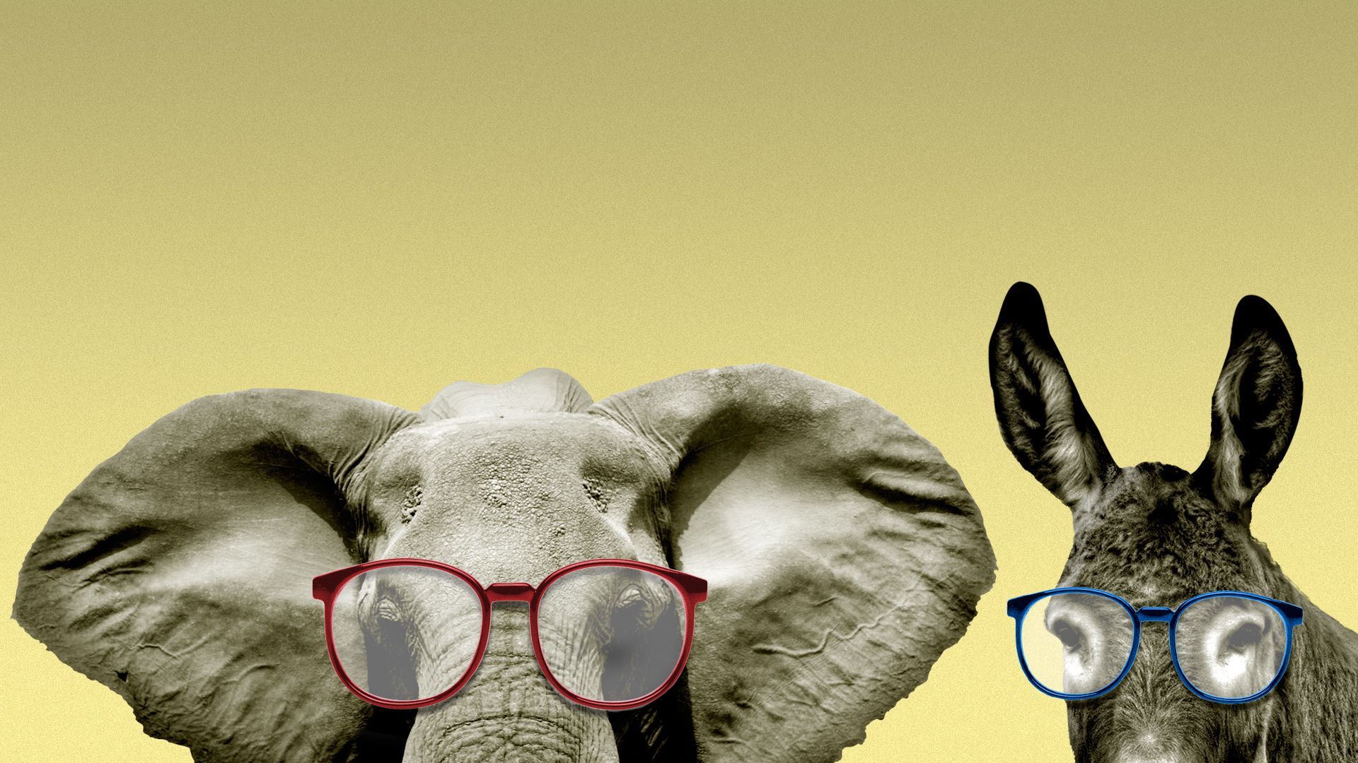 Illustration of an elephant and donkey wearing glasses.