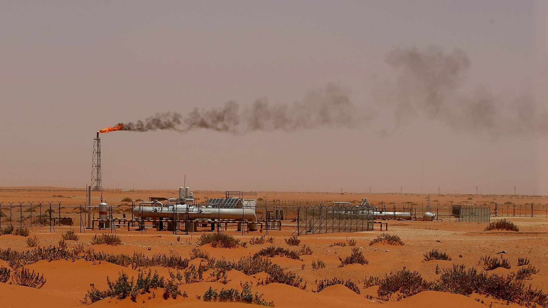 Oil
