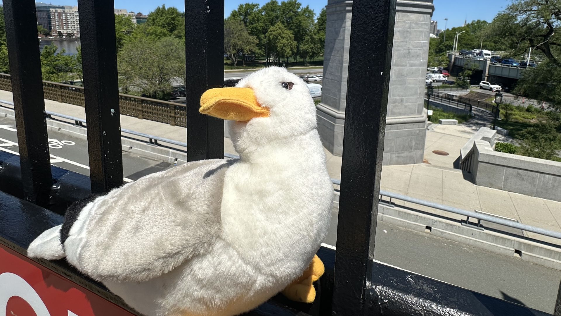 A close up of Townie, Axios Boston's plush gullscott, perched on a black metal fence above a red and white sign in an undisclosed Boston-area location.