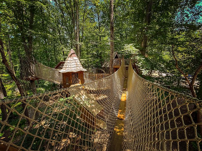 Scoop Whitewater Center will add a massive offleash dog park, biergarten and beach Axios