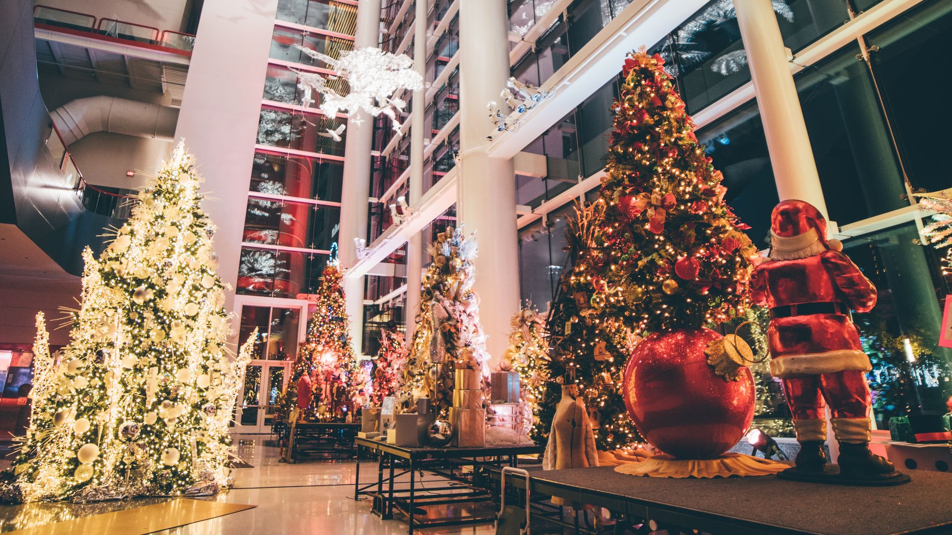 A handful of holiday trees are displayed inside a white building