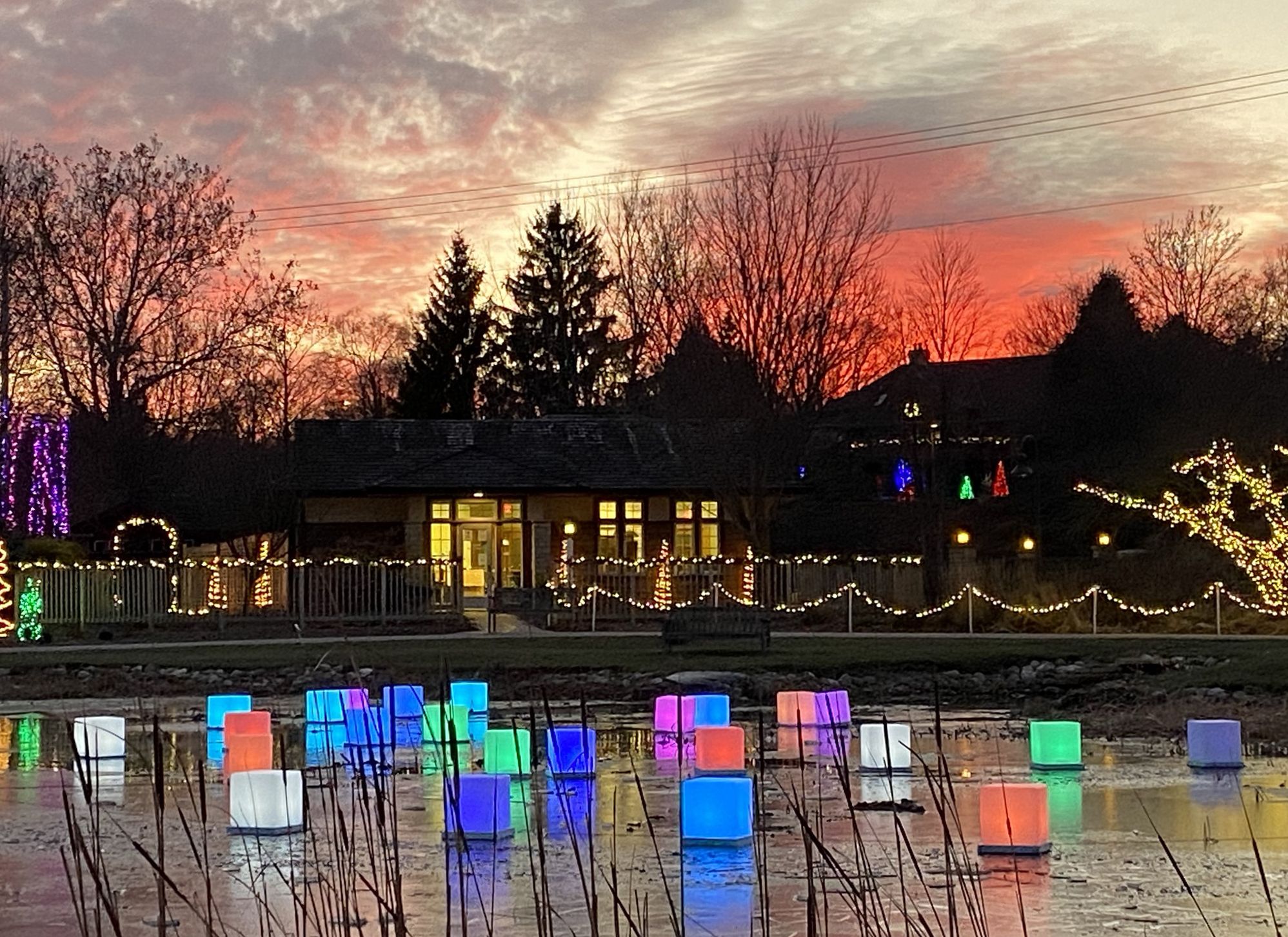 A photo from Winter Wonderscape Holiday Light Show at Reiman Gardens in Ames.