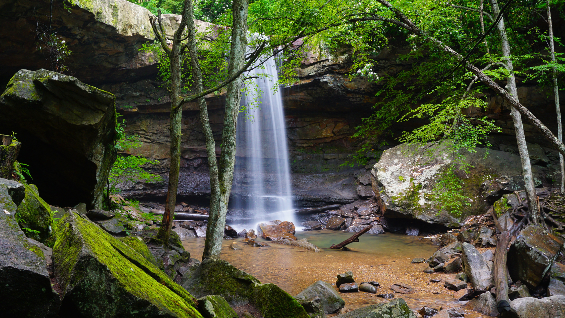 A serene waterfall cascades down a rocky cliff into a shallow pool surrounded by moss-covered boulders and green trees in a lush forest.