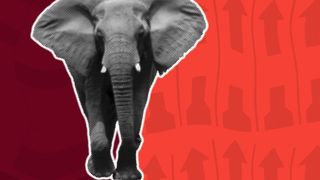 Illustration of an elephant with ballot elements that are distorted and wavy behind it