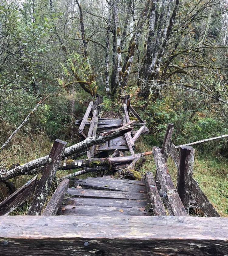 The broken bridge at the end of the Beaver Lake Trail.