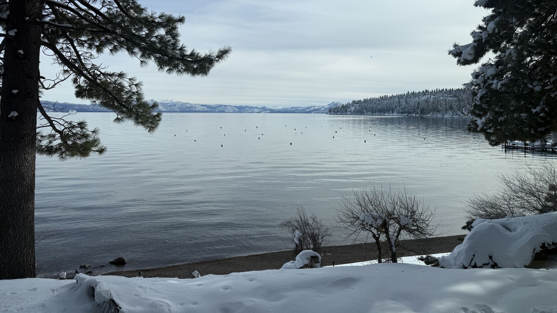 Snow-covered shore with two pine trees framing a calm lake and distant snow-capped mountains under a cloudy blue sky.