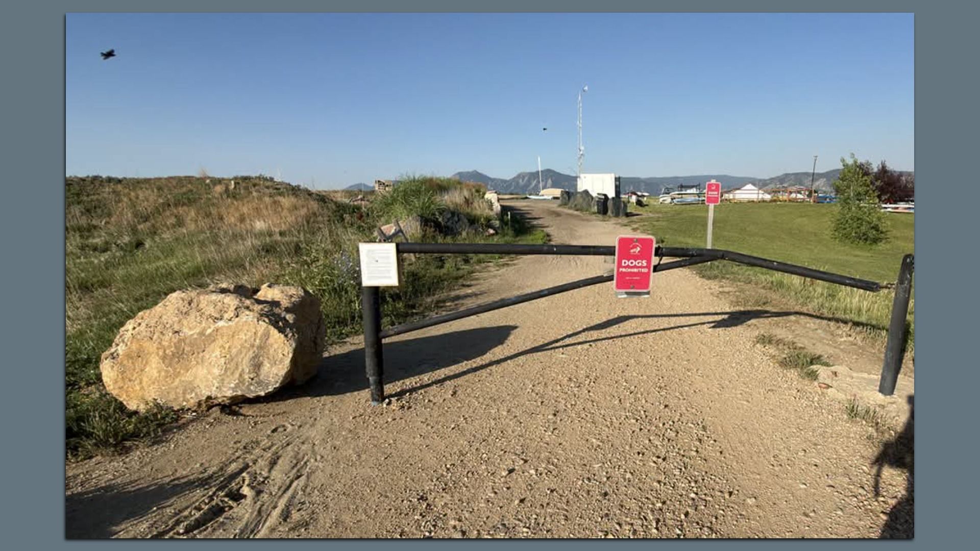 Dirt road blocked by a black gate with a pink 'Dogs Prohibited' sign; a large boulder on the left, grassy fields to the right, and distant hills under a clear blue sky.