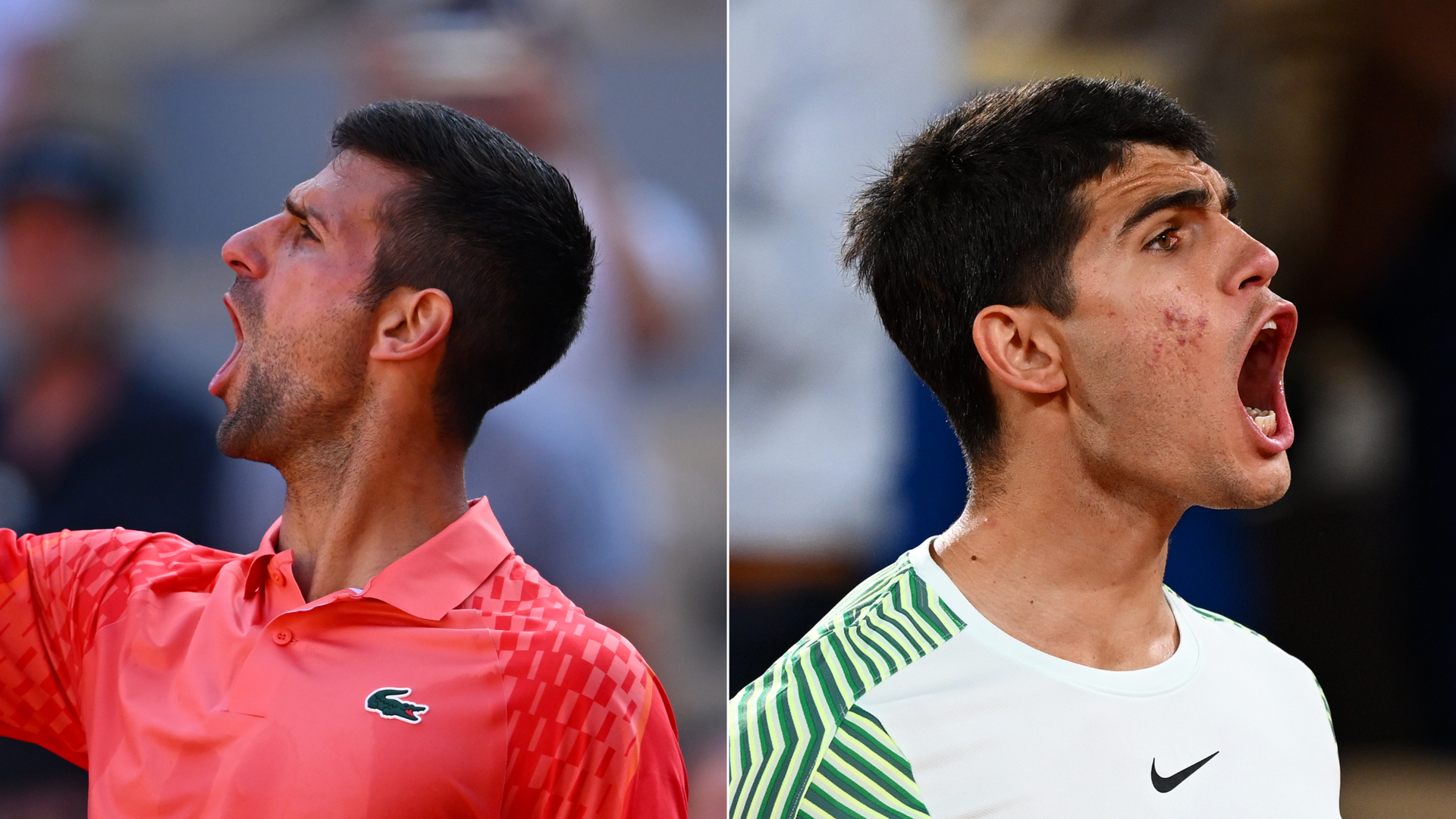 novak djokovic and carlos alcaraz