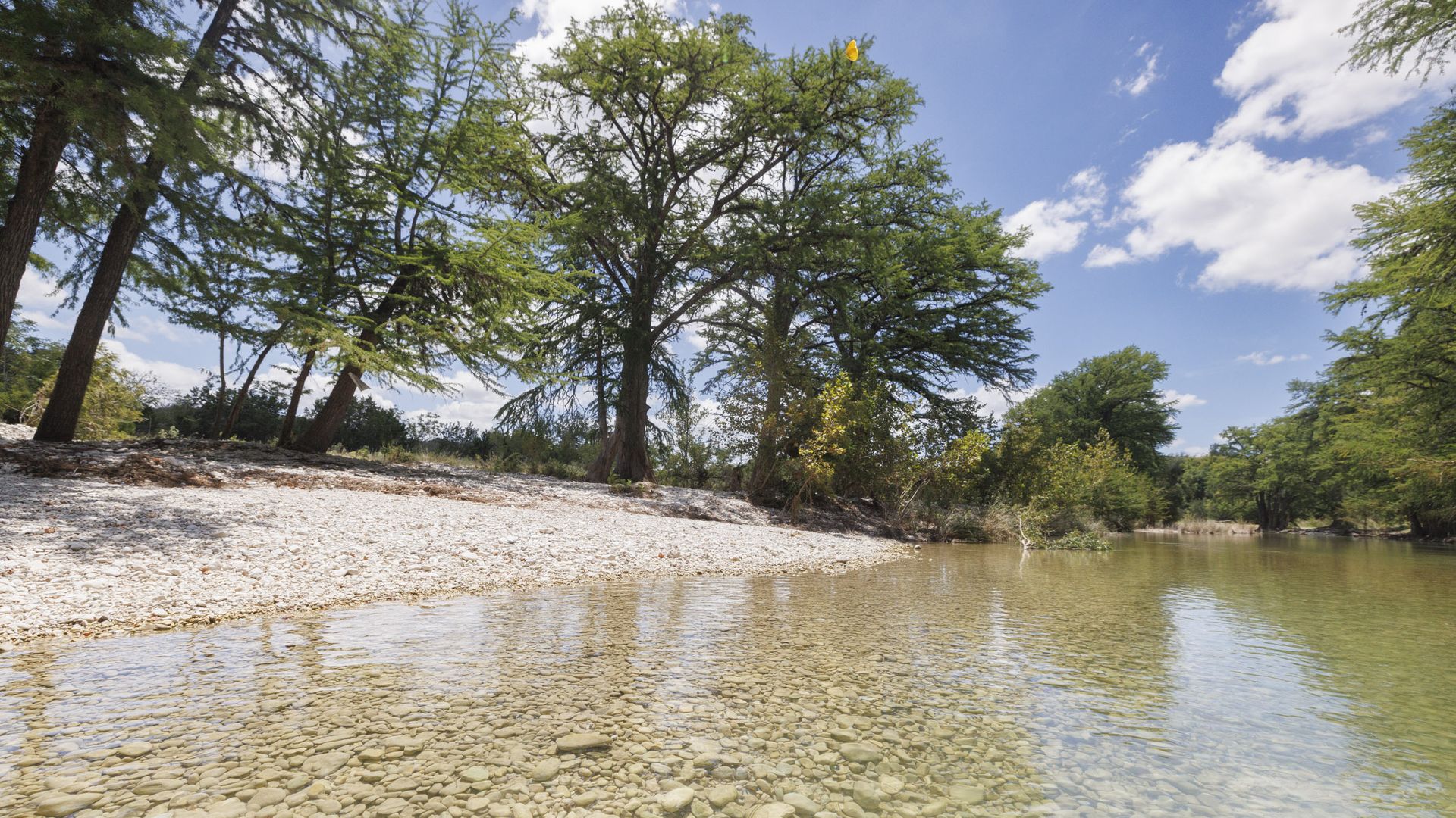 Clear shallow river with visible stones, bordered by green leafy trees under blue sky with scattered white clouds on a sunny day.