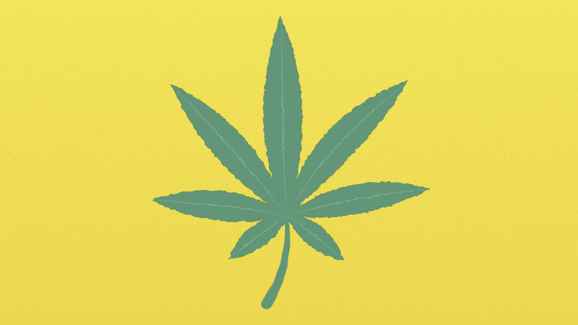 An illustration of a marijuana leaf on a yellow background