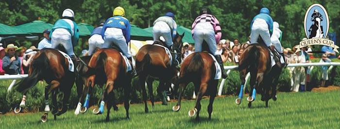 queens-cup-steeplechase
