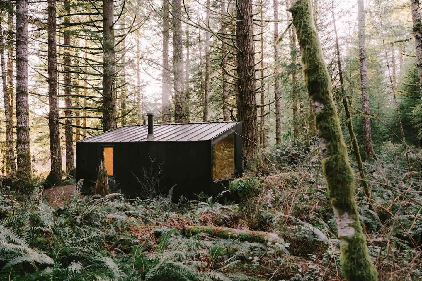 A tiny home sits in the middle of towering pine trees. Smoke is coming out of the chimney.