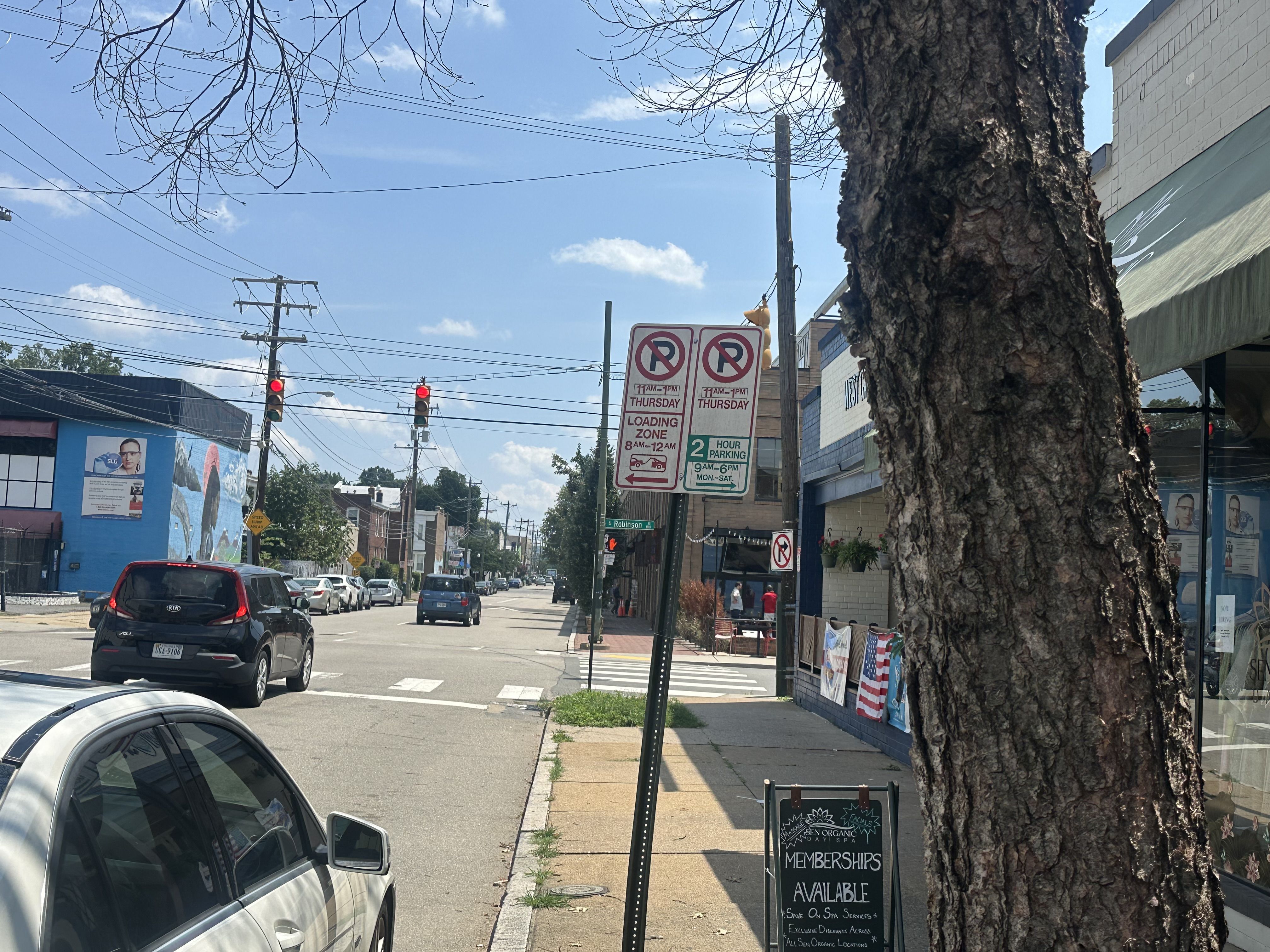 Urban street scene: a large tree trunk on the right, a blue mural wall on the left, cars in traffic, power lines overhead, and a sidewalk sign about memberships.