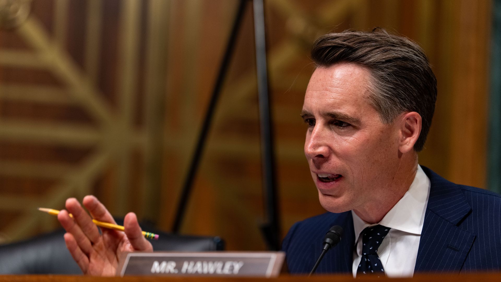 Sen. Josh Hawley speaks at a hearing.