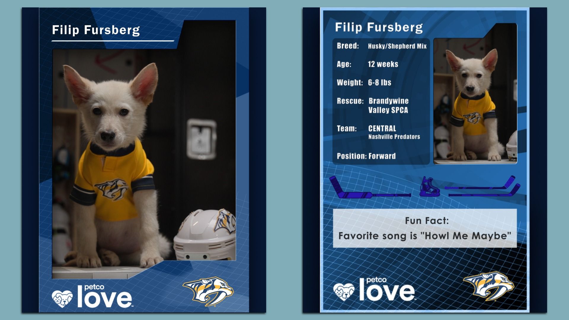 A mock playing card showing a puppy dressed up as a fake hockey player named Filip Fursburg.