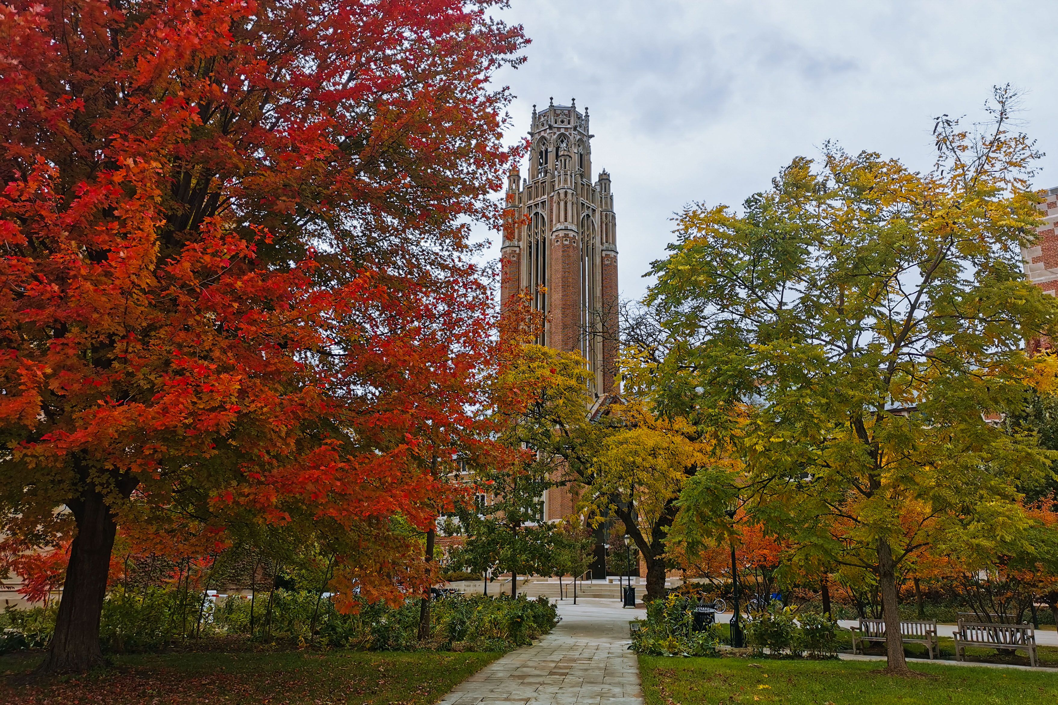 Photo of leaves changing colors in front of a tower. 