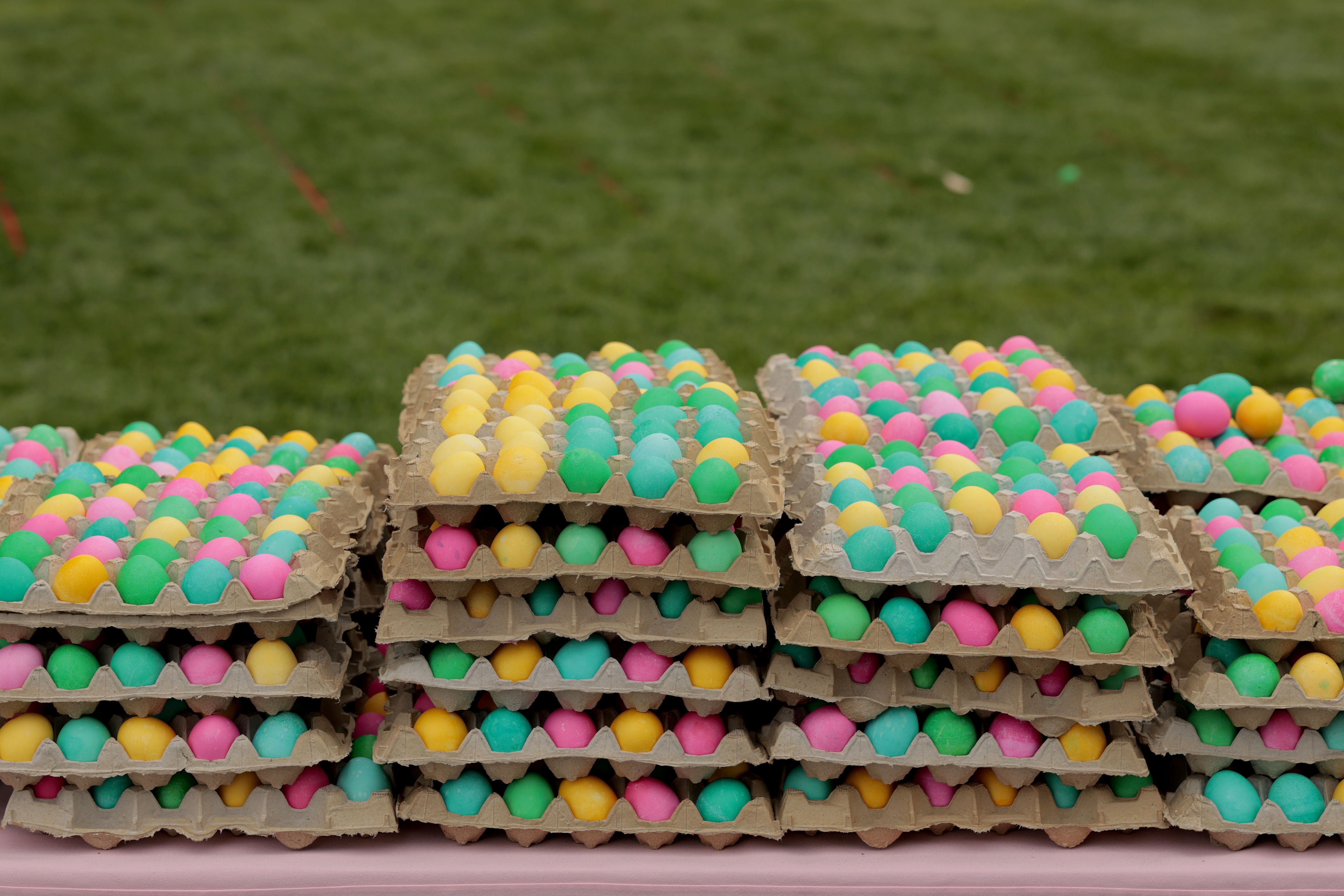 Yellow, green, blye and pink  dyed Easter eggs are seen at the White House Easter Egg Roll.