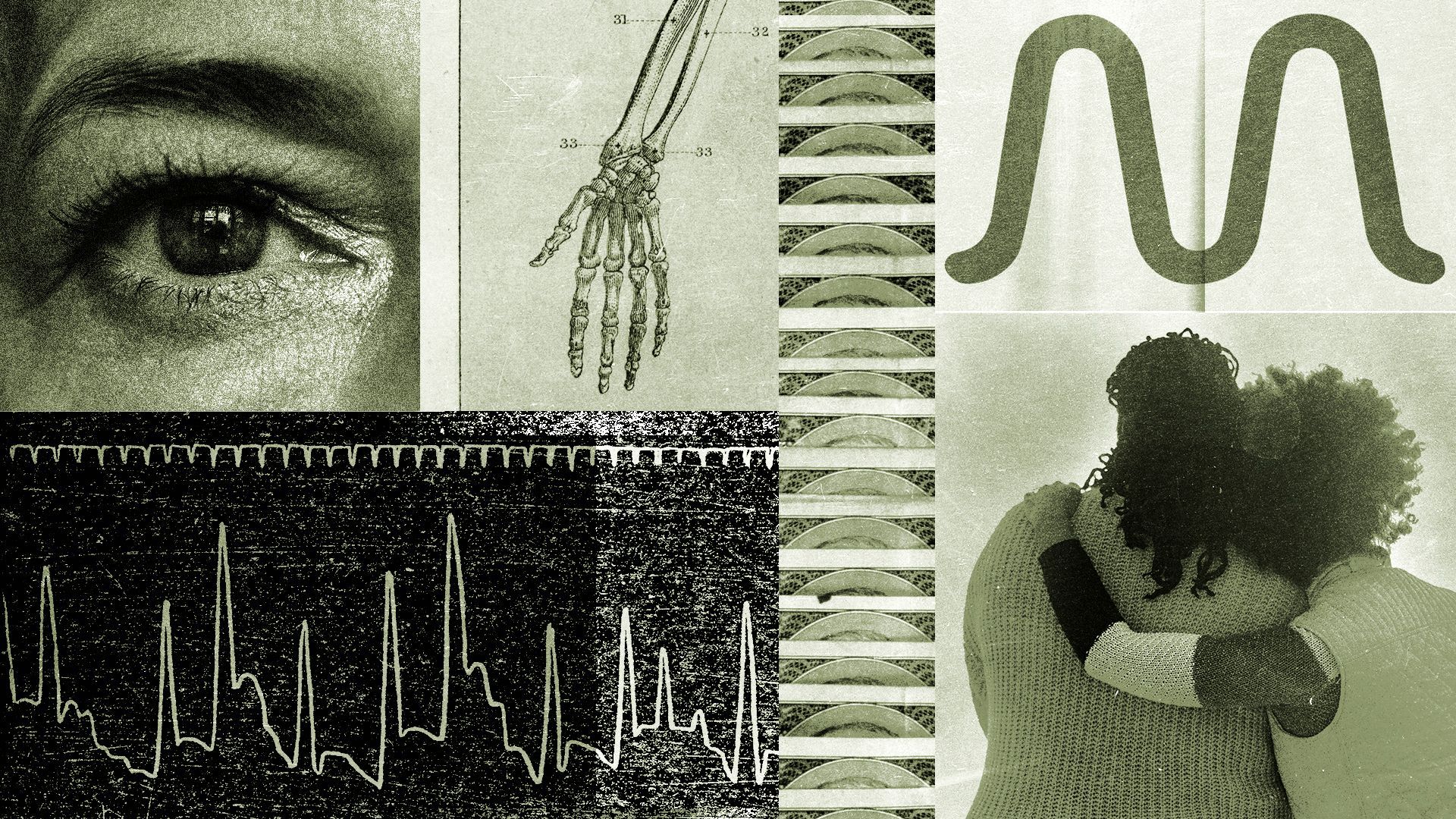 Illustration of a collage of FemTec Health's logo, money, medical diagrams and anonymous women.