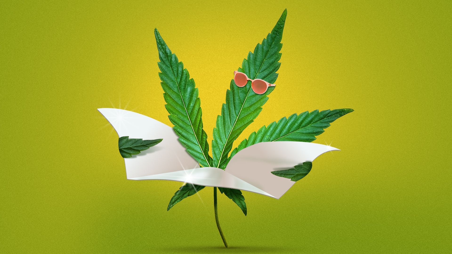 Illustration of a marijuana leaf wearing sunglasses and holding a reflective tanning board