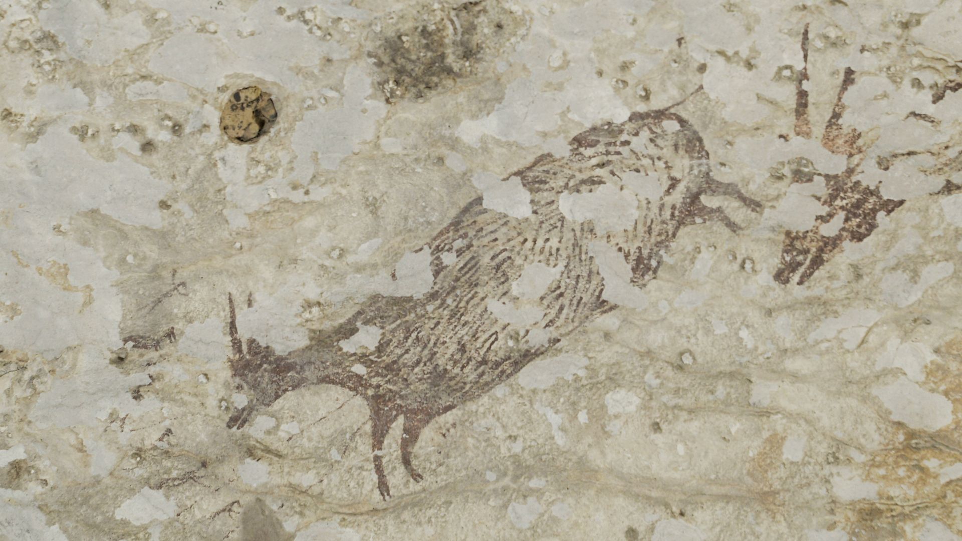 Prehistoric hunters go after a large horned beast.