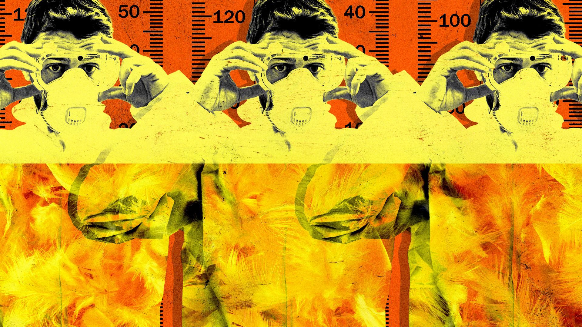 Illustration of a person wearing PPE repeated over a background of thermometers and an overlay of chicken feathers that look like flames.