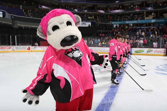 checkers pink rink