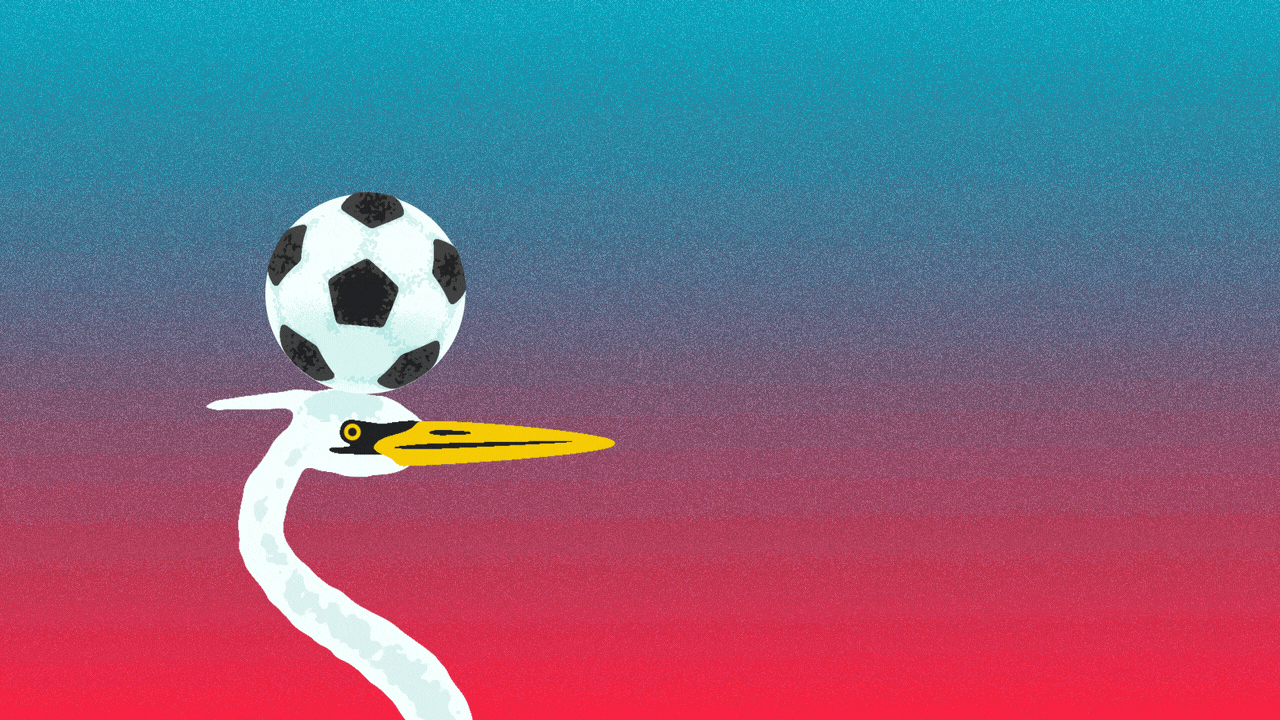 Animated illustration of a white heron bouncing a soccer ball on its head.