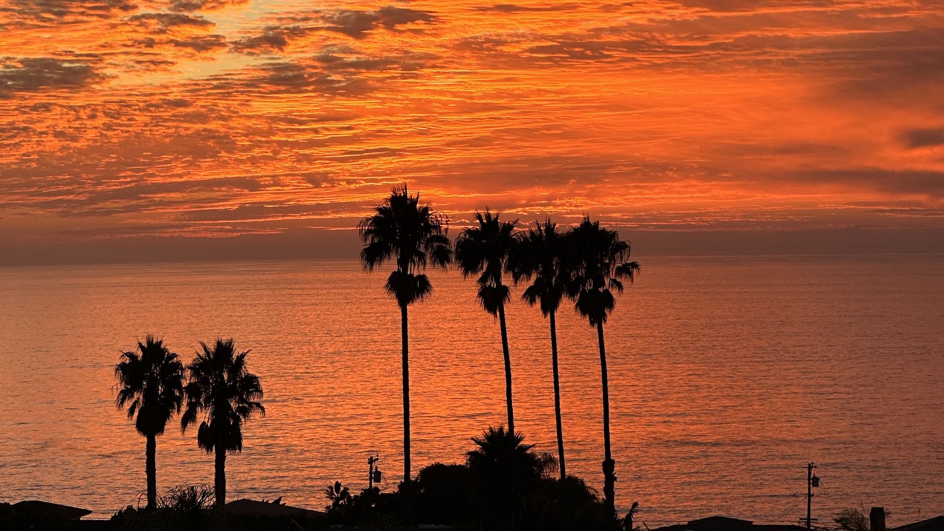 An orange sunset over the Pacific Ocean with palm trees.