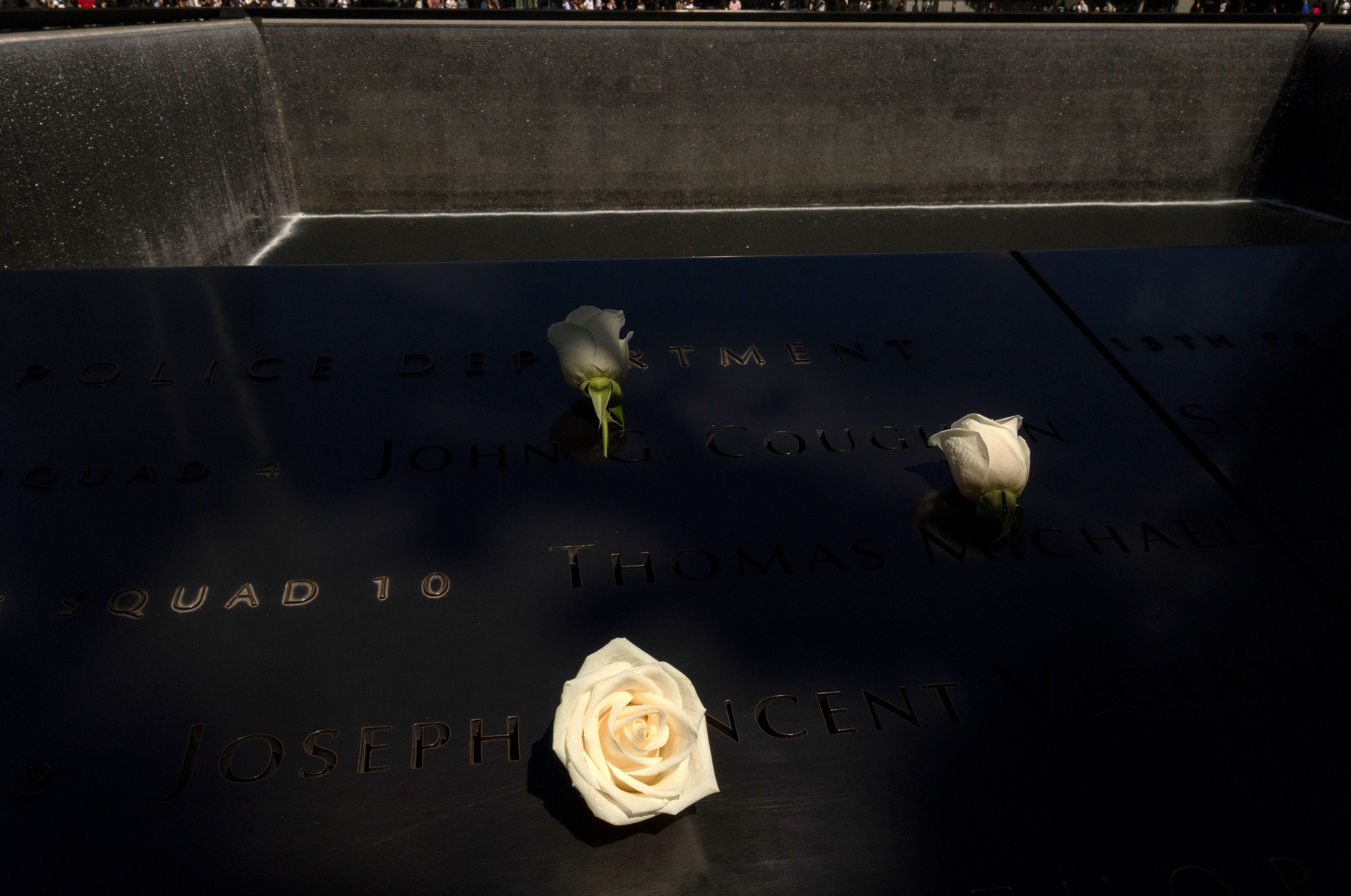 Roses stand on the 9/11 Memorial for the South Tower ahead of the 25th anniversary of the attack on the World Trade Center on September 7, 2026, in New York City.