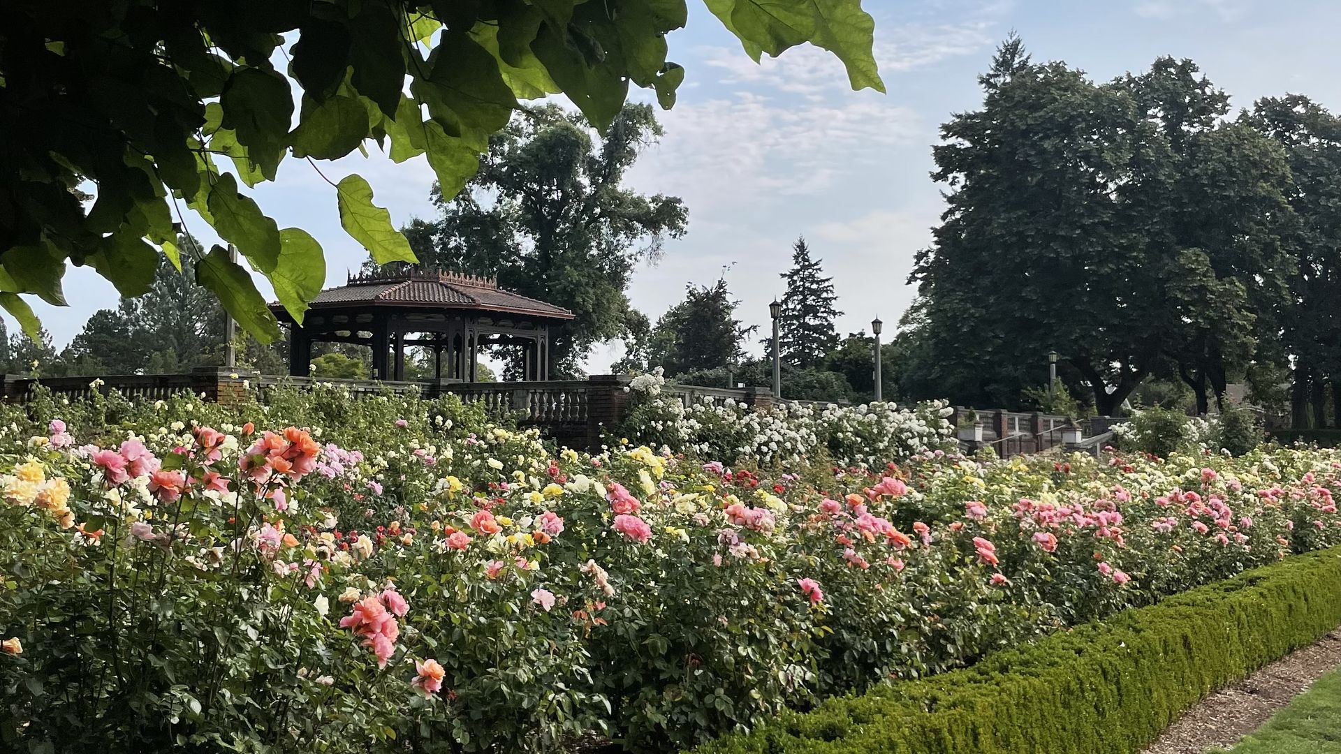 Sunlit garden with a colorful rose bed in the foreground, a dark wooden gazebo with a red-tiled roof, brick railing, and tall trees under a blue sky.
