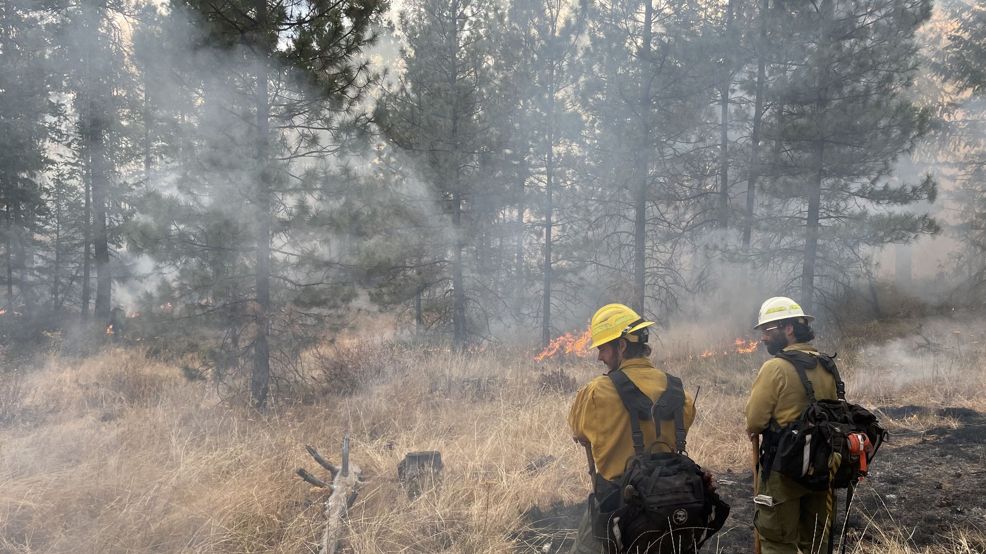 Two people in fire fighter gear and equipment looking at a fire in wildlands