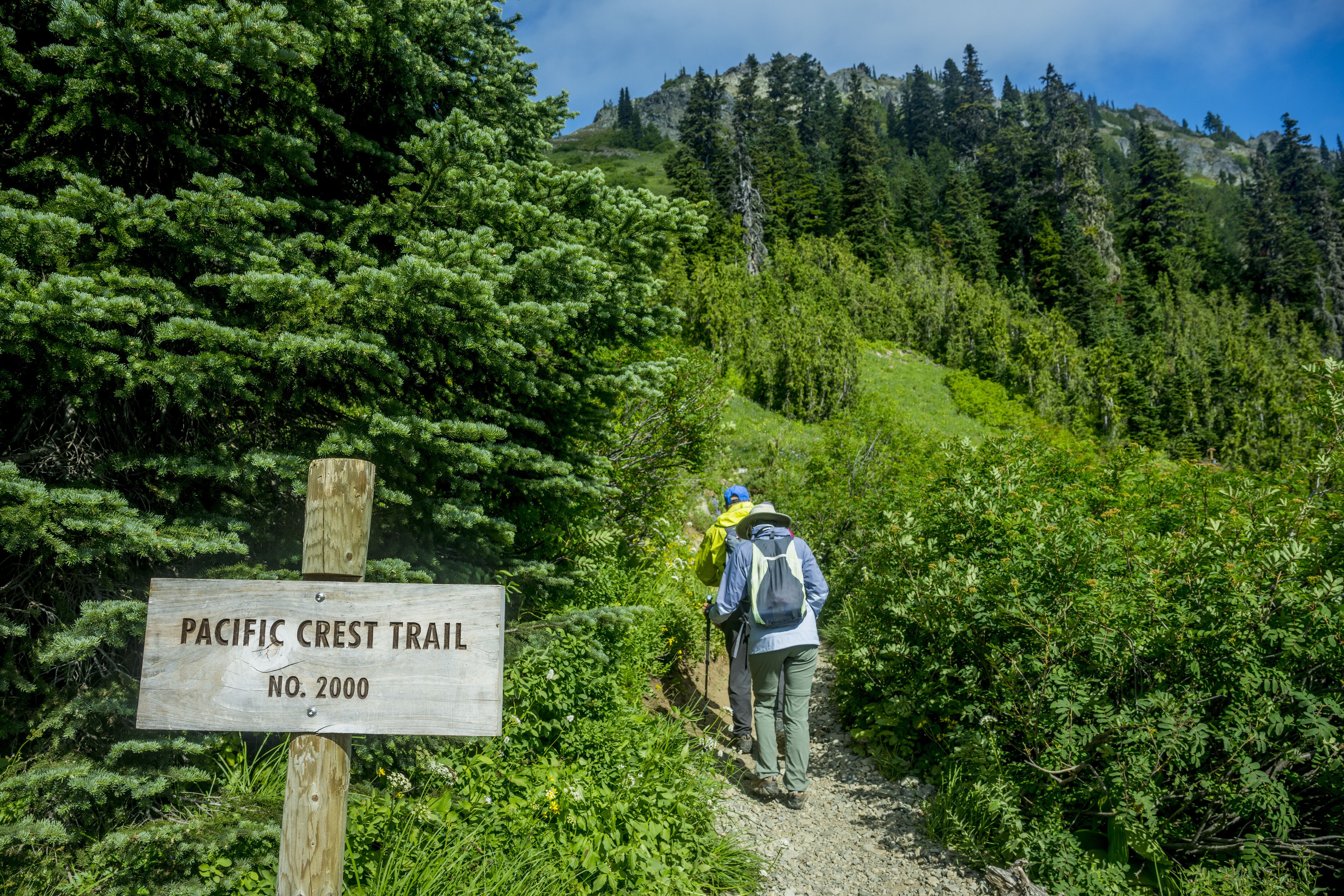 Hikers walk along the Pacific Crest Trail through a mountainous forest in Washington.