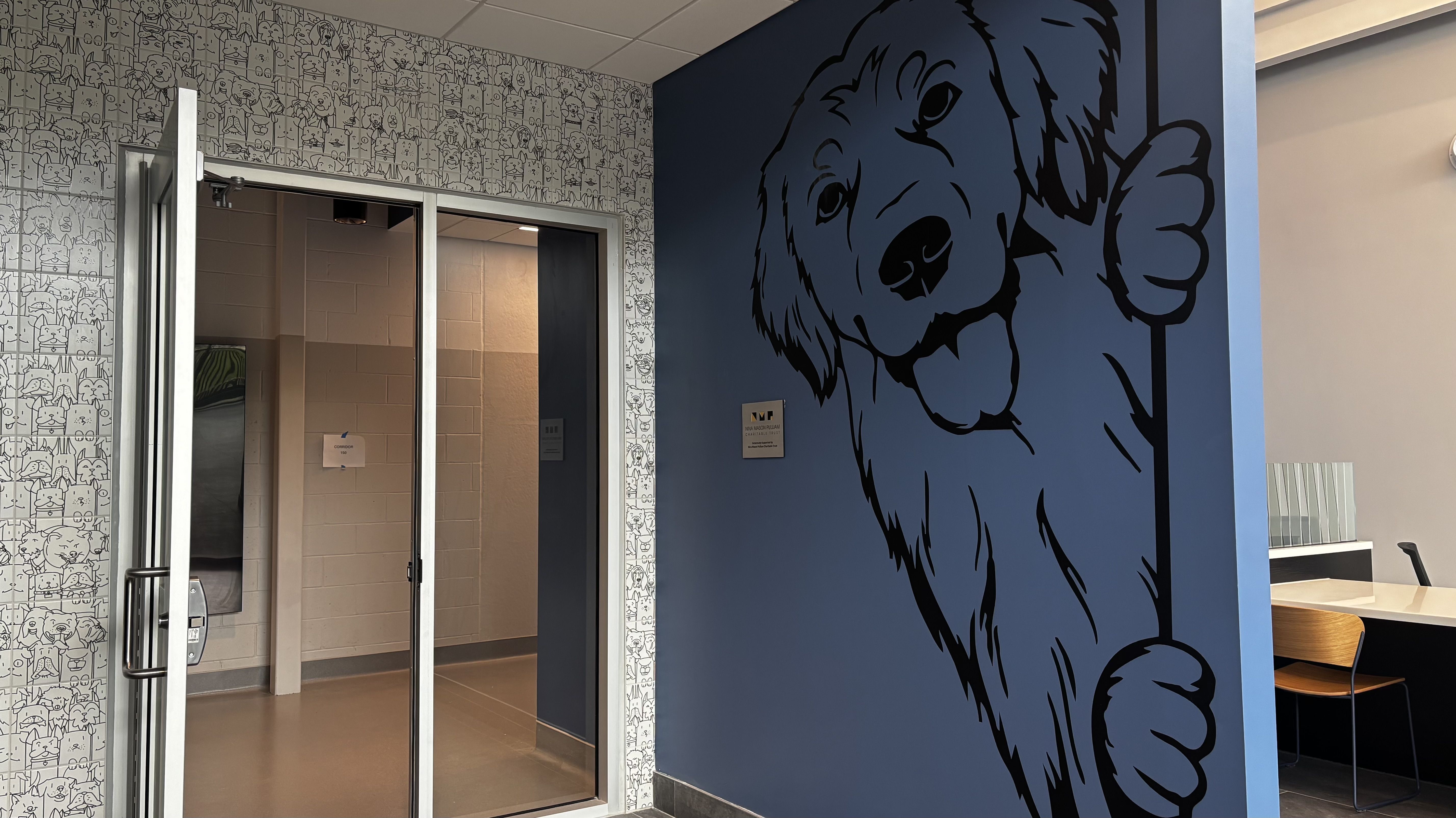 Interior scene: a large blue wall features a bold black outline bear giving a thumbs up. Left wall has white wallpaper of tiny cartoon faces; glass doors open to a beige hallway with a few chairs and tables.