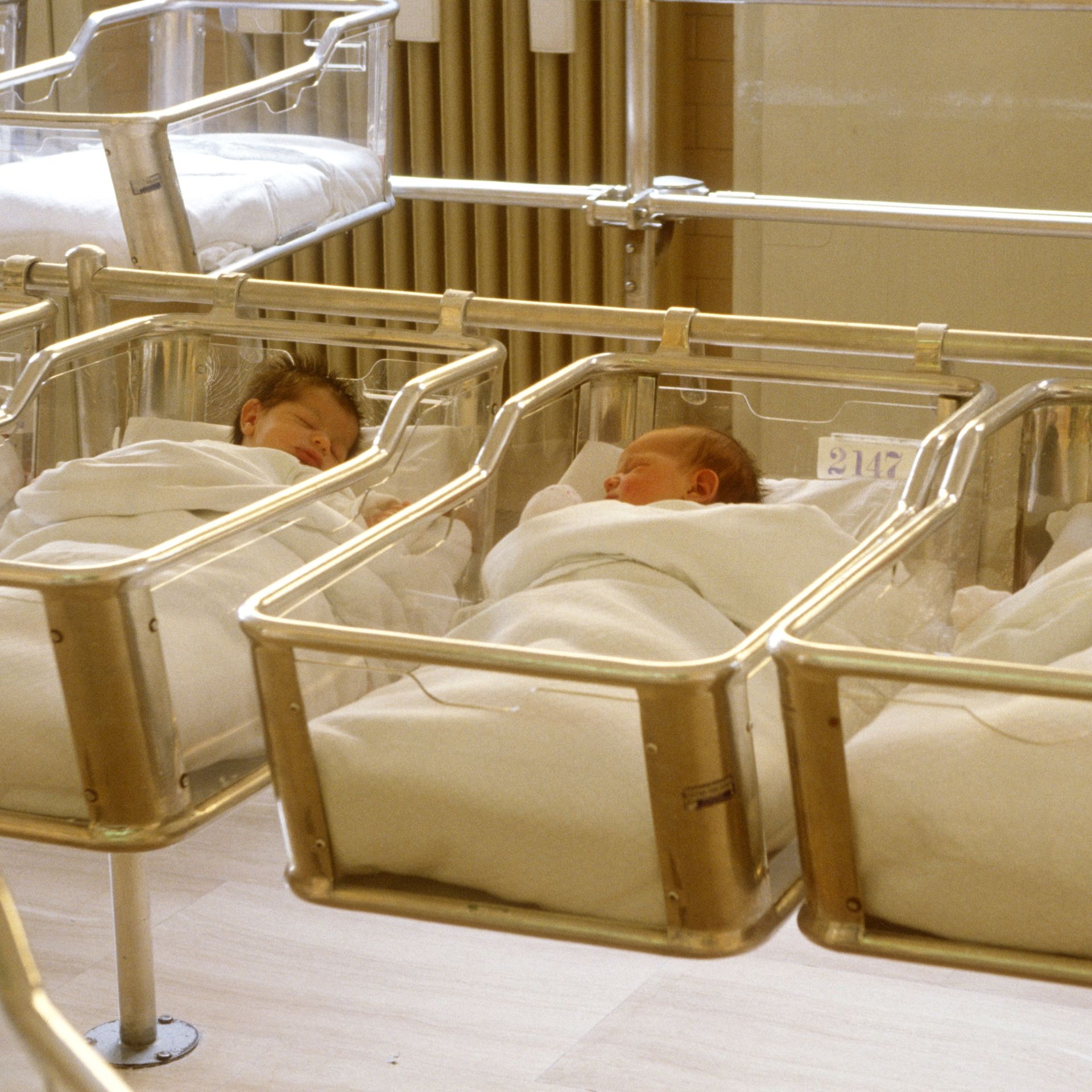 Newborn babies sleep in a hospital nursery.
