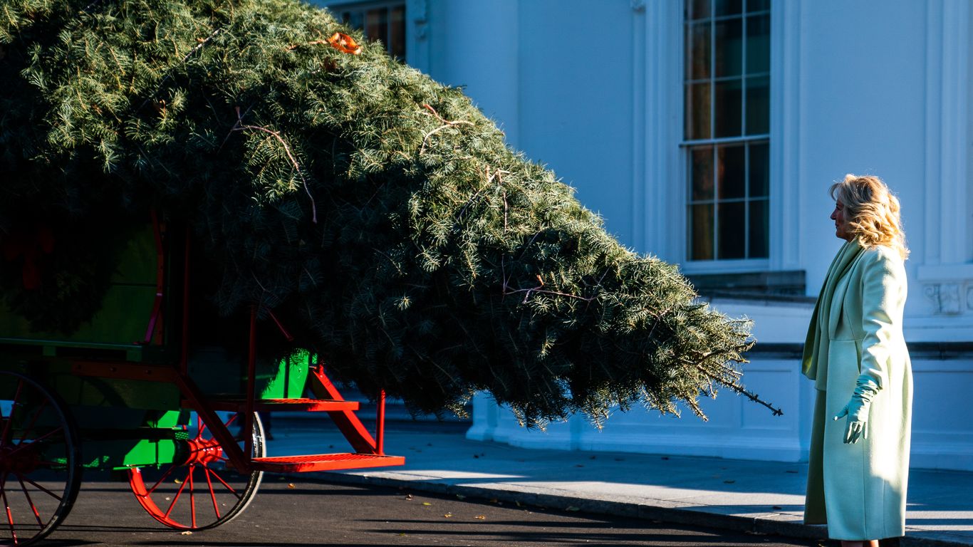 Where to shop for Christmas trees around D.C.