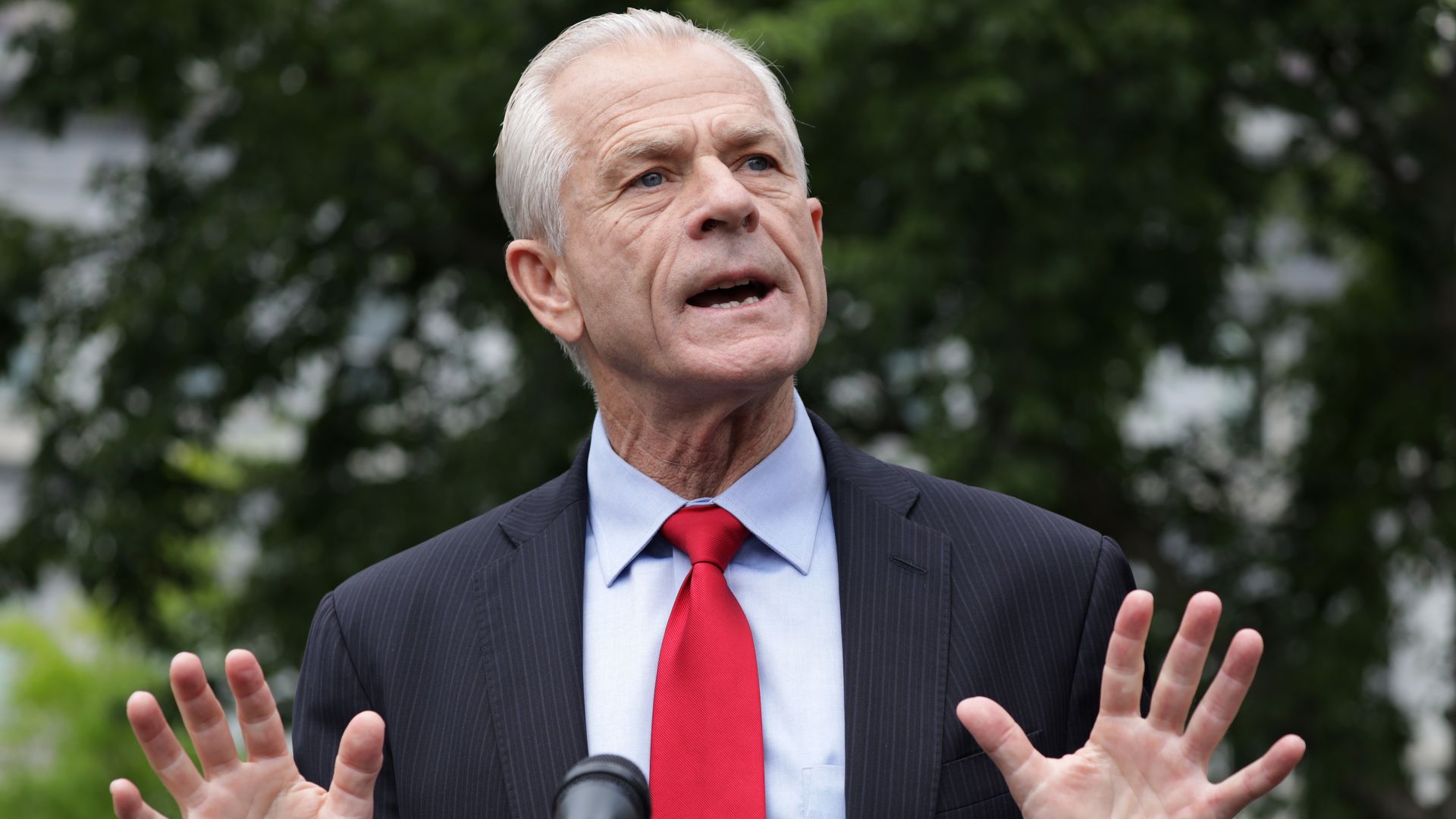 Peter Navarro
