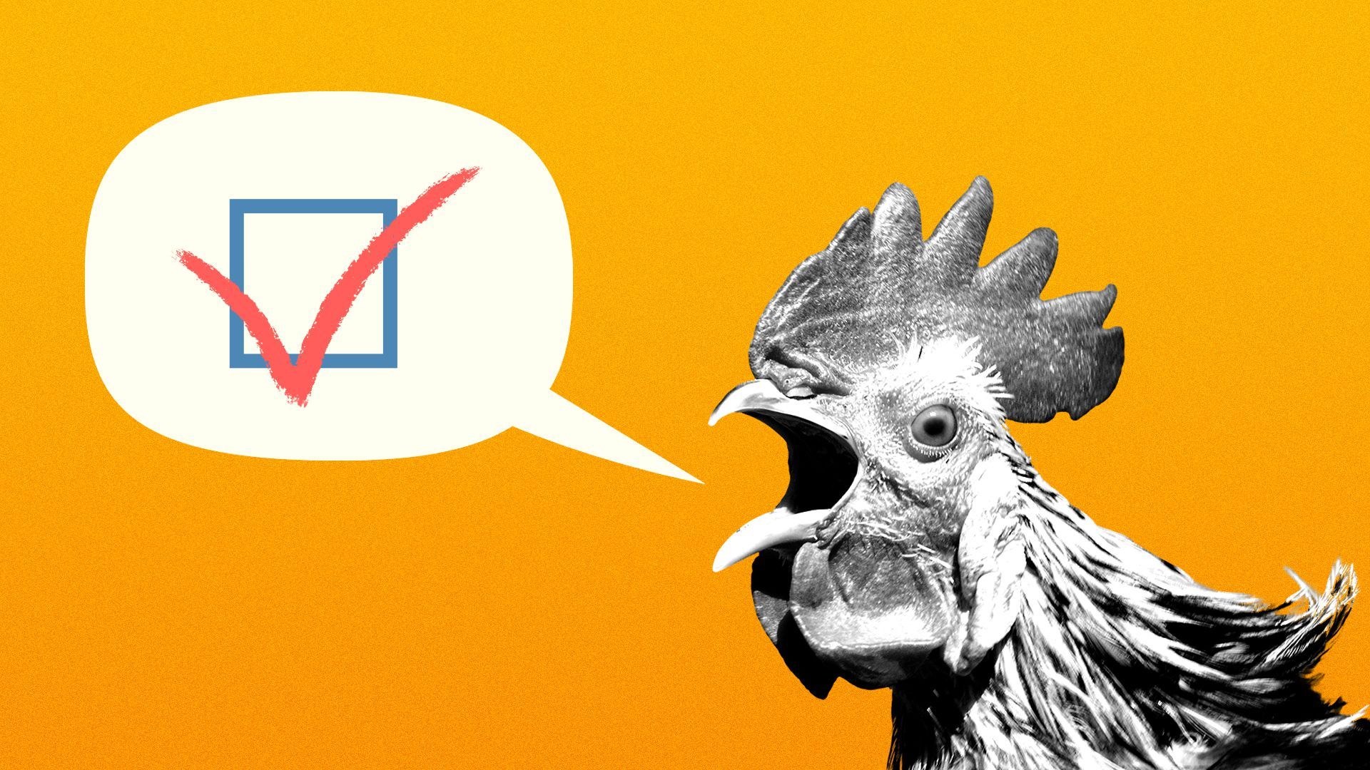 Illustration of a rooster with a word balloon with a checkmark in it coming out of its mouth.