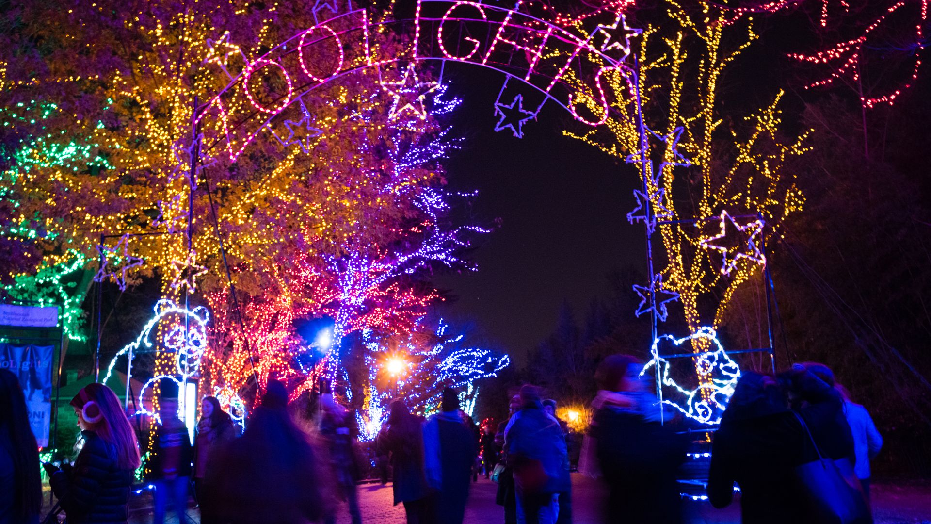 Colorful lights at the zoo in the shape of animals