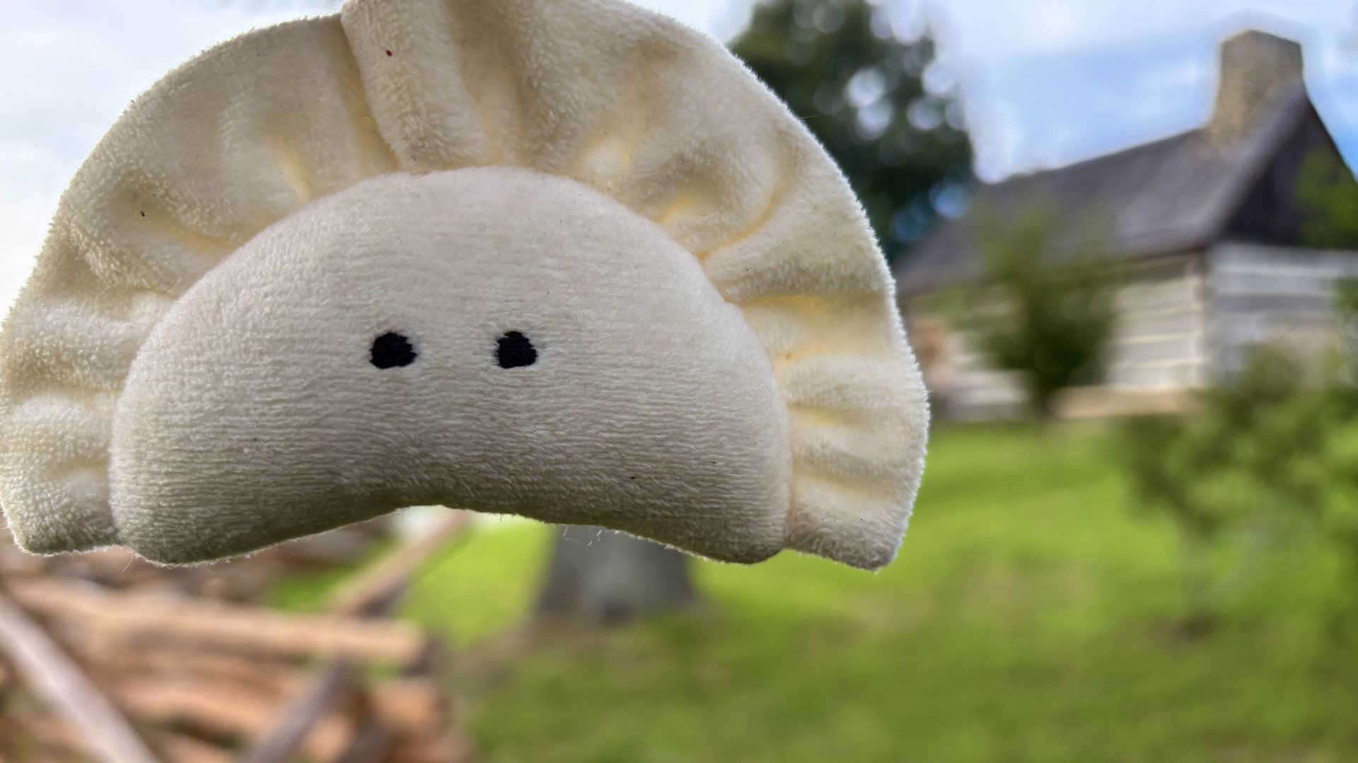 Close-up of a white fluffy plush toy with two small black eyes, held up outdoors. A blurred garden and wooden fence fill the background.