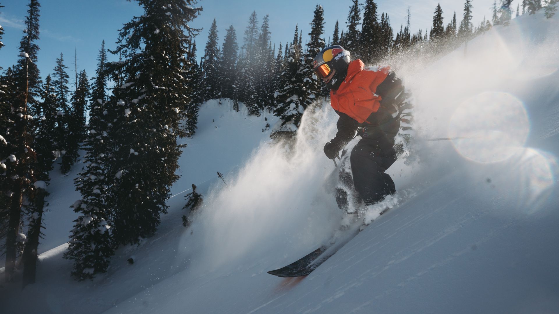 Photo courtesy of TGR