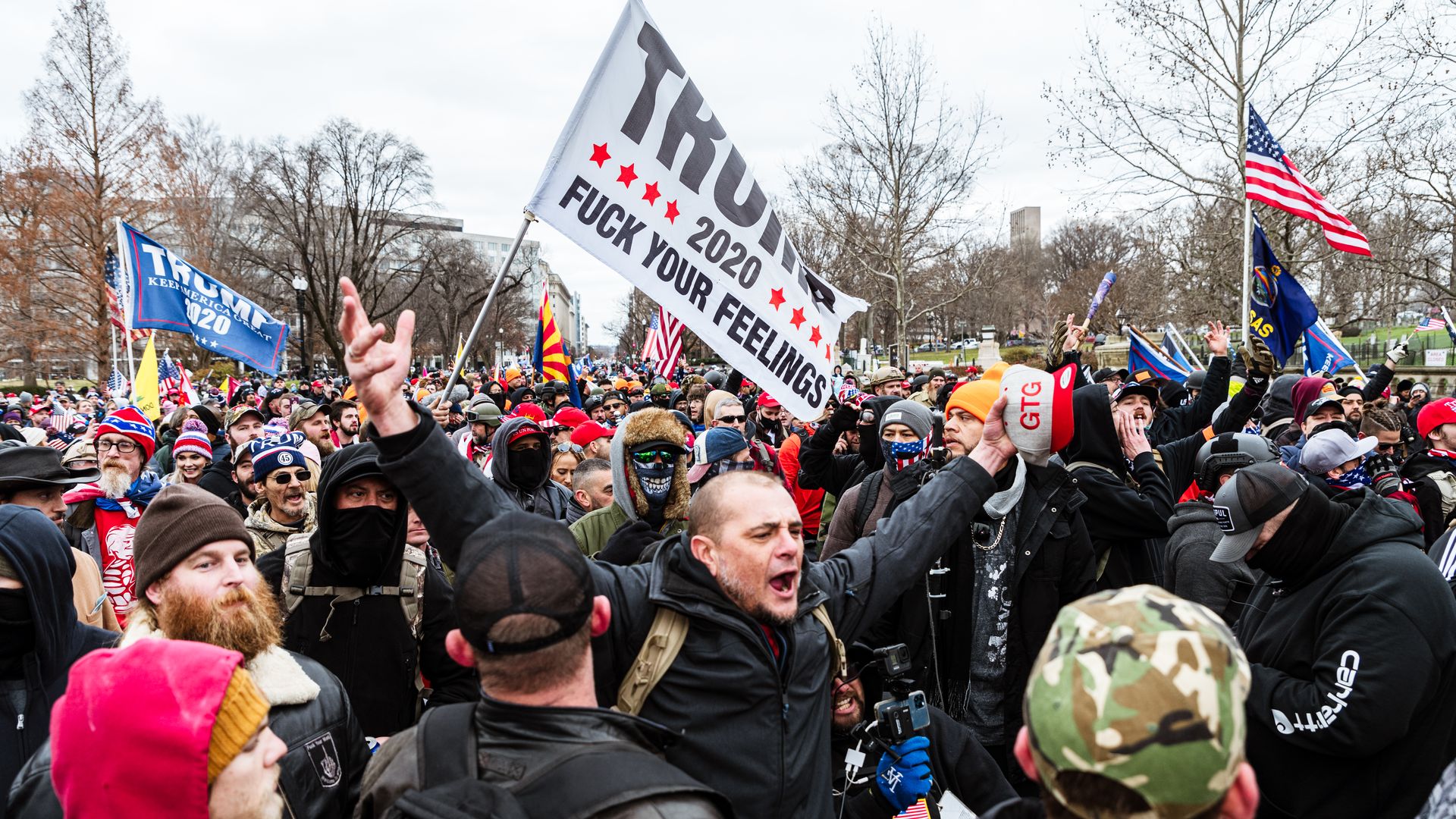 Photo of a crowd of pro-Trump supporters outside the Capitol
