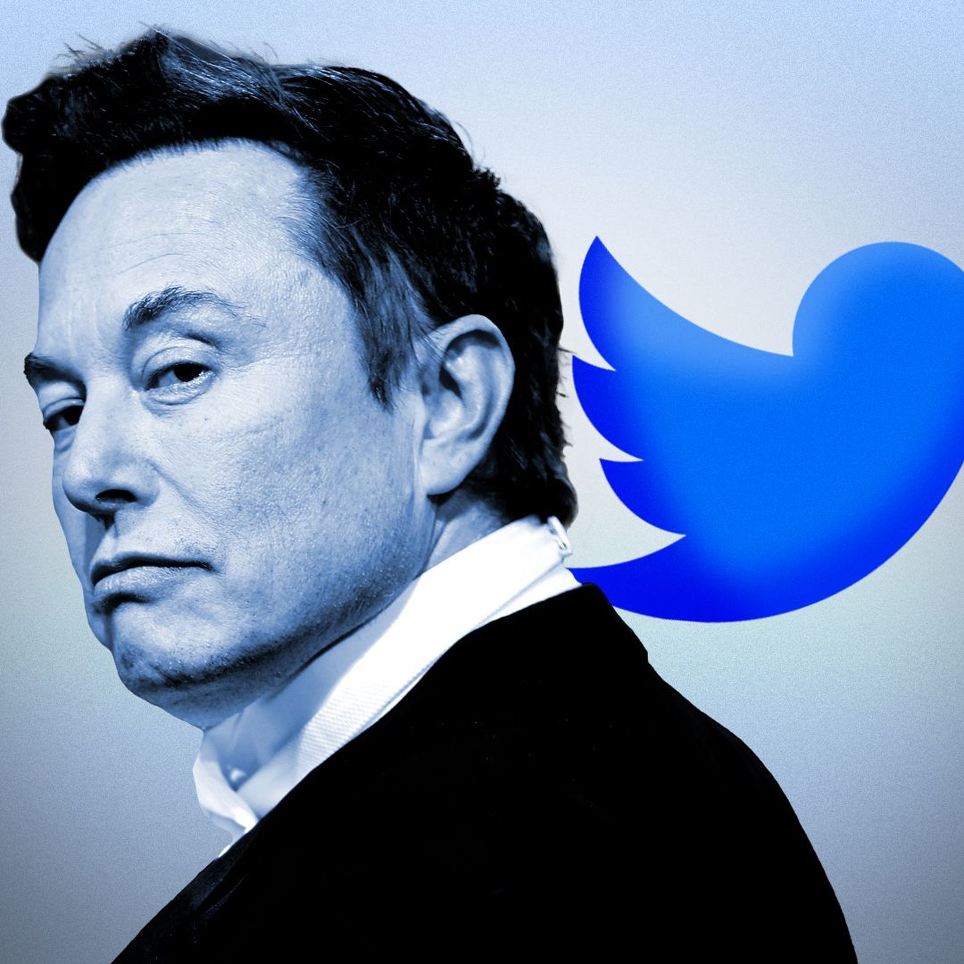 Photo illustration of Elon Musk next to the twitter logo.