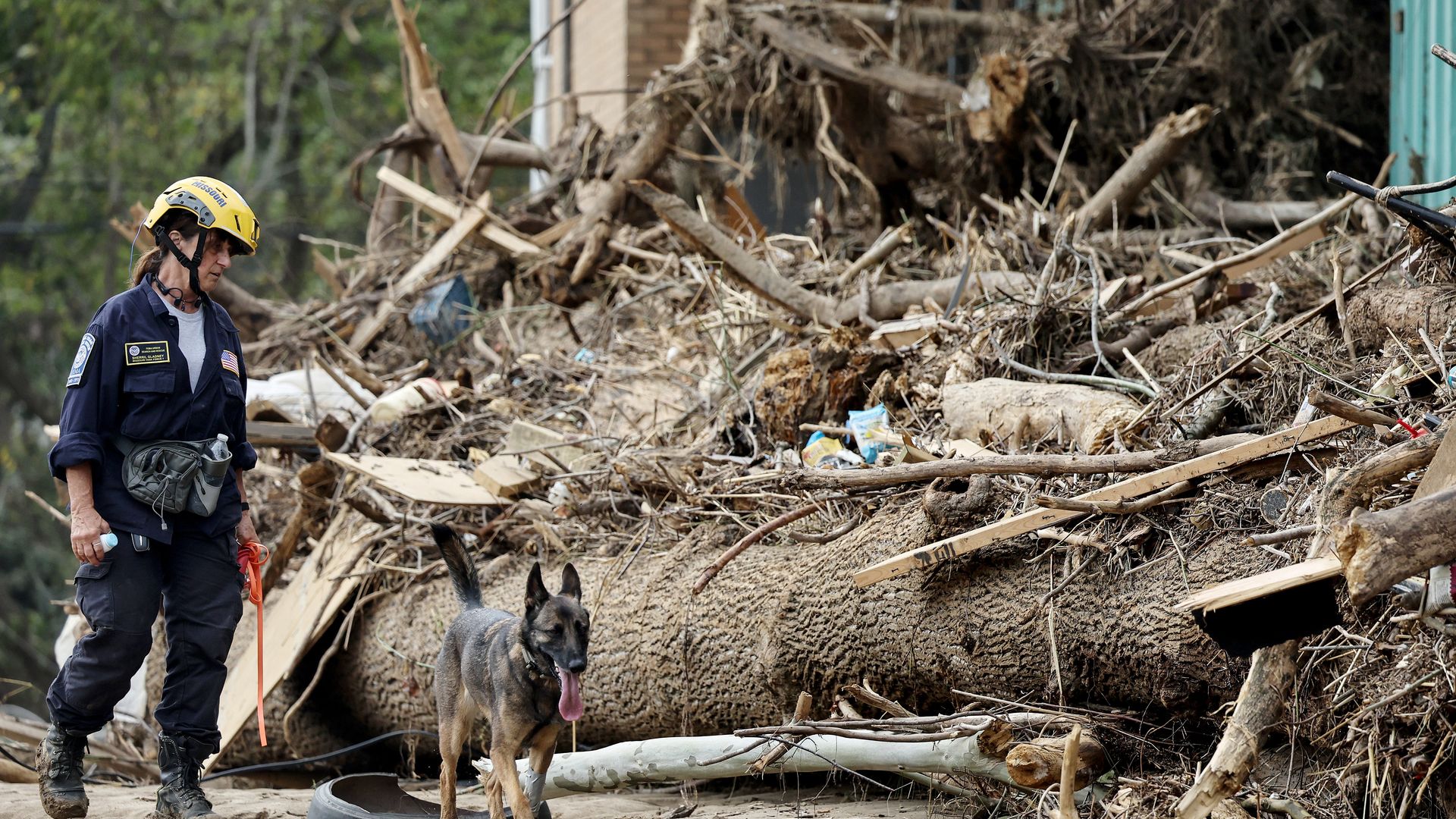 A member of the FEMA Urban Search and Rescue Task Force searches a flood-damaged property with a search canine in the aftermath of Hurricane Helene along the Swannanoa River on October 4, 2024 in Asheville, North Carolina