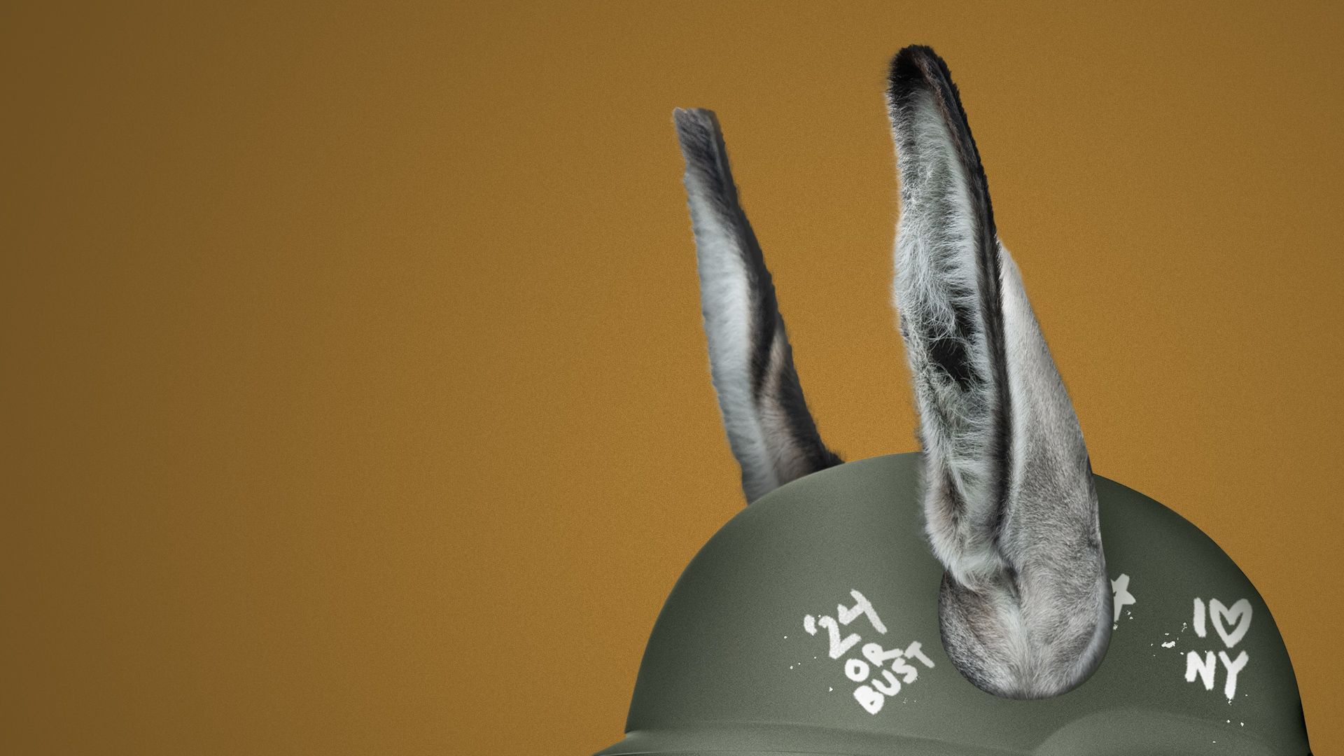 Illustration of a donkey wearing a military helmet with drawings on it that read "'24 or bust" and "I love NY".