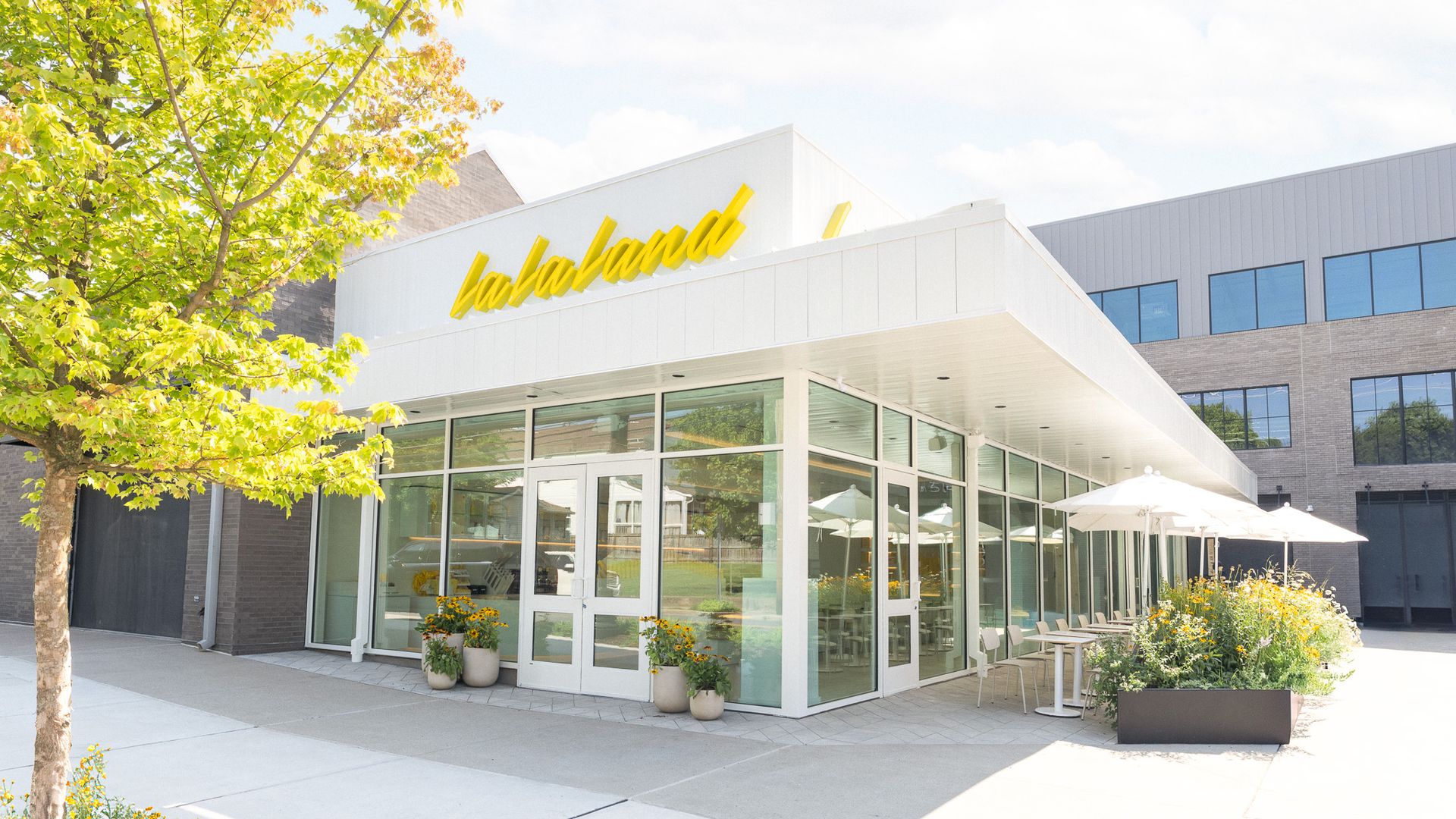 Sunny street view of a modern café with glass walls and a bright yellow sign reading "la la land" atop a white awning; outdoor seating with umbrellas and potted plants, a tree on the left.
