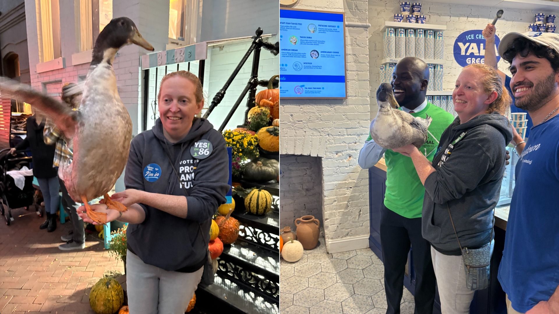 Two-panel scene: outdoors a smiling woman in a gray hoodie holds a large gray duck with orange feet among pumpkins; indoors, three people pose with the duck near blue YAL branding.
